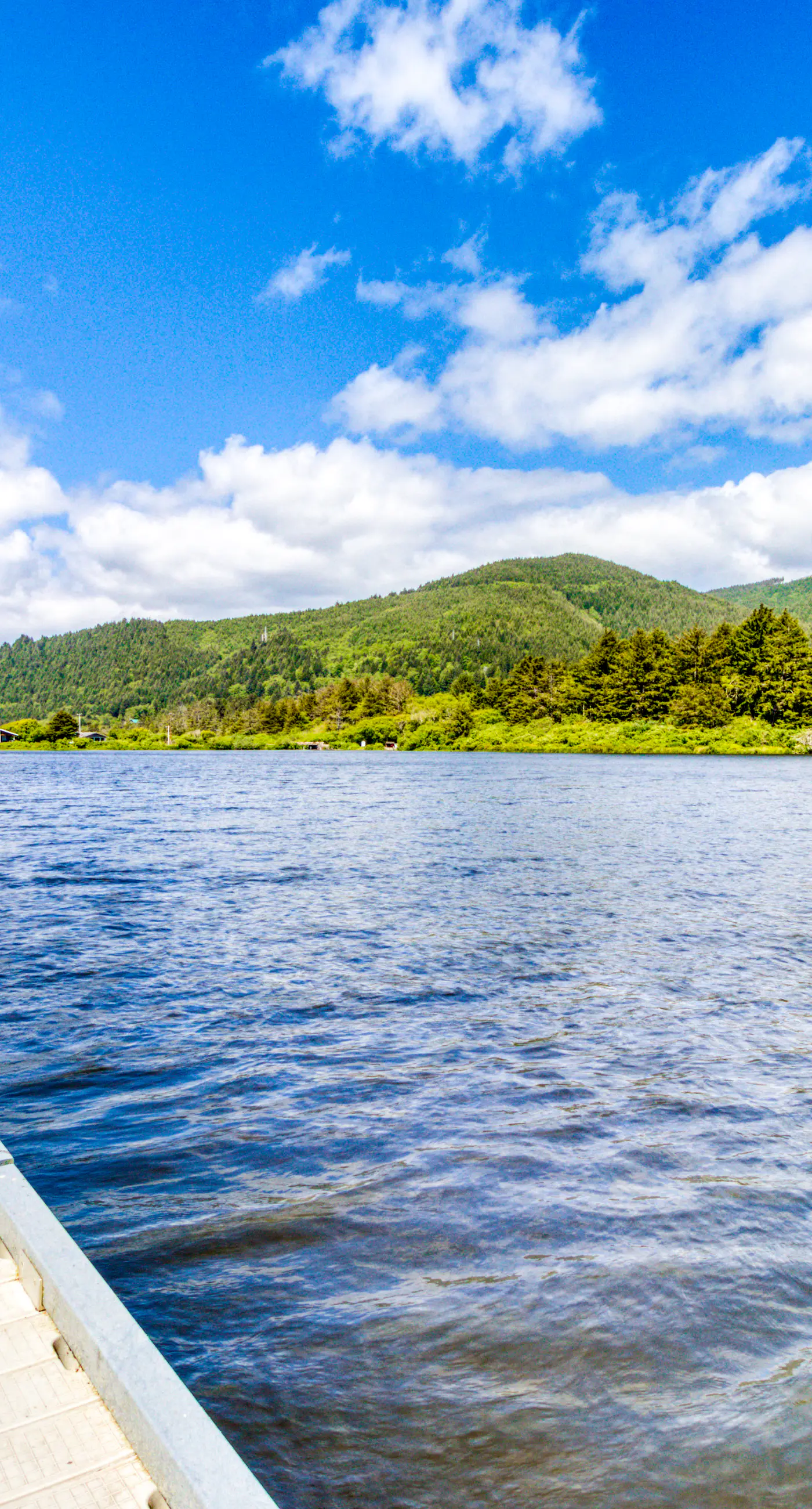 Dog Friendly Room Located Near the Beach and Downtown