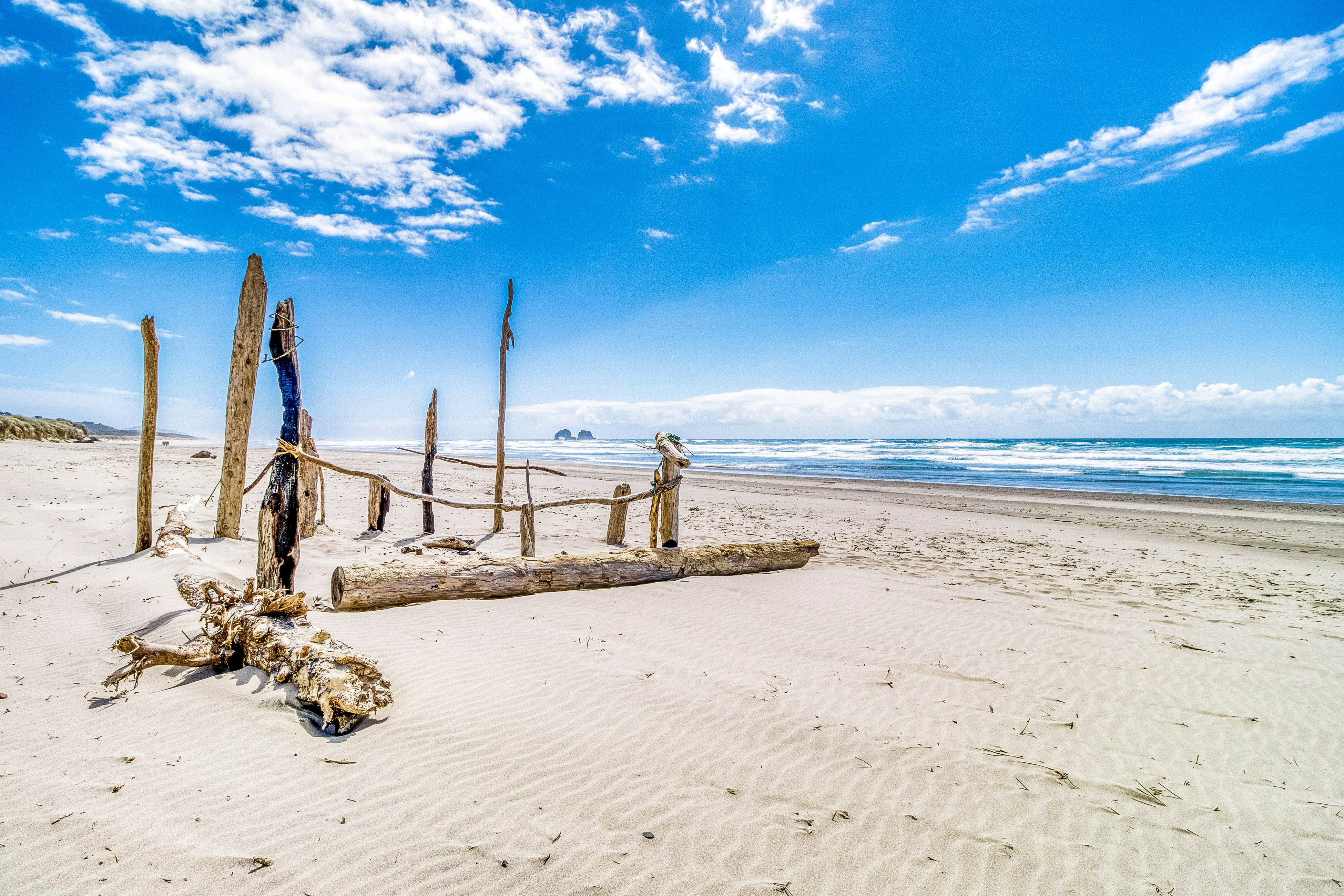 Coastal room near the beach & downtown - dog-friendly