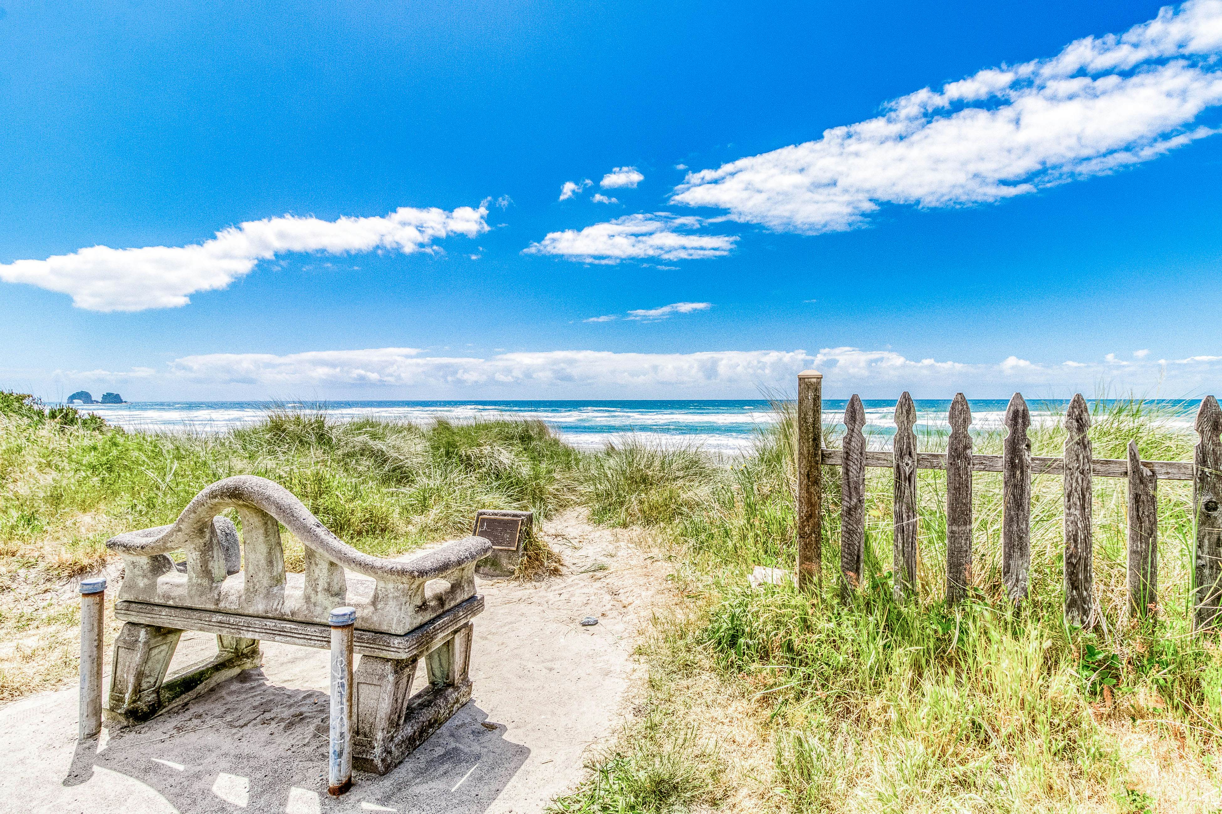 Coastal room near the beach & downtown - dog-friendly