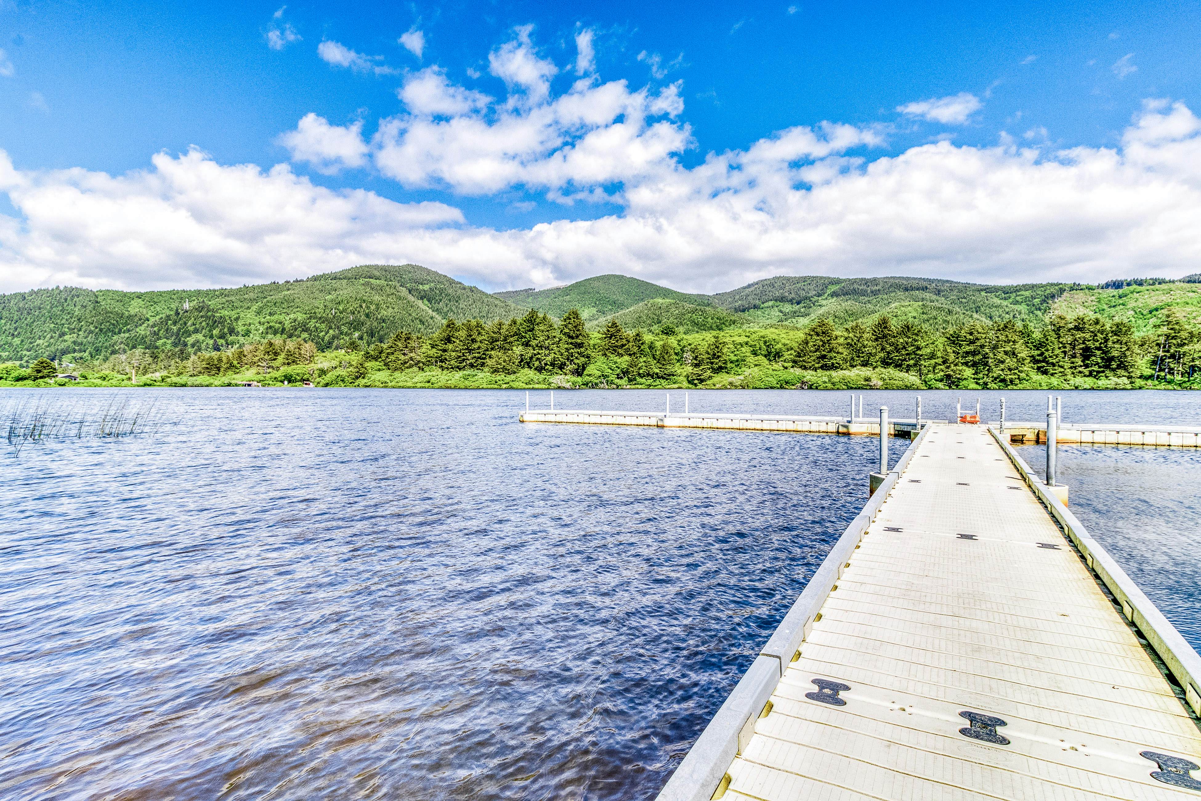 Coastal room near the beach & downtown - dog-friendly