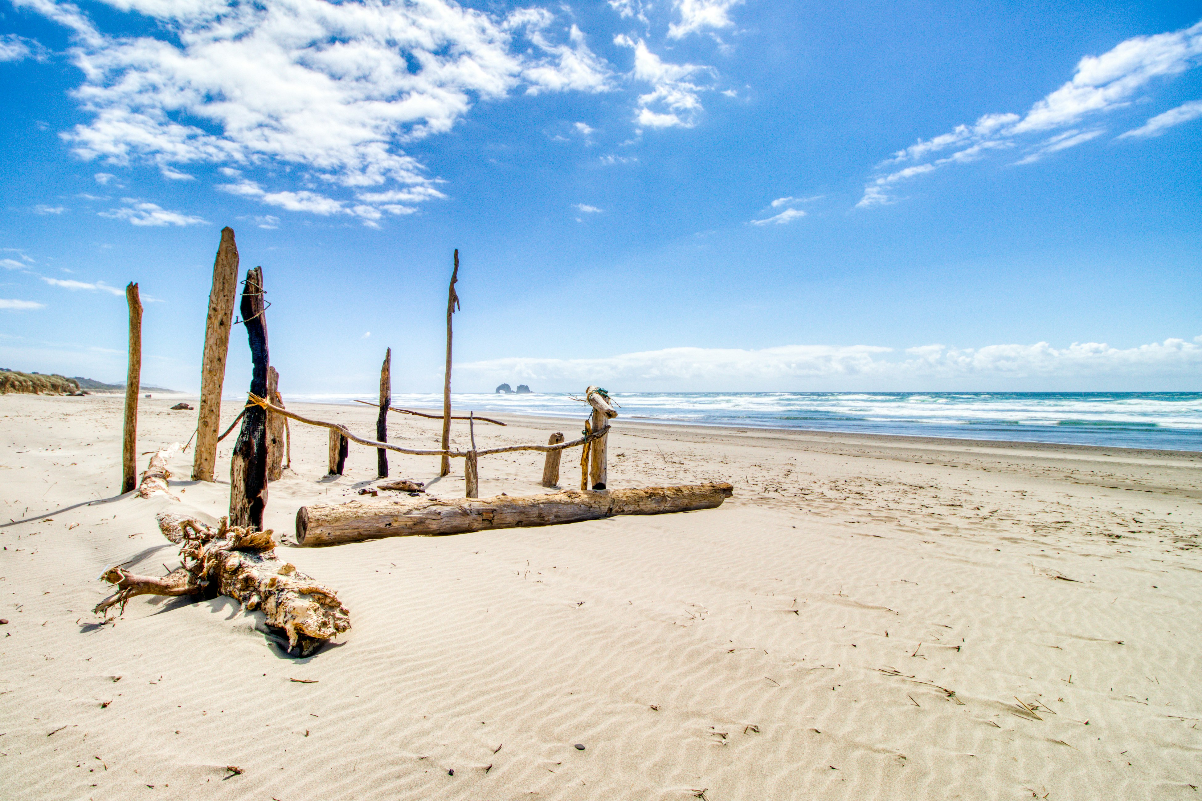 Eight Dog-Friendly Rooms w/ Kitchens & Kitchenettes - Walk to Downtown & Beach