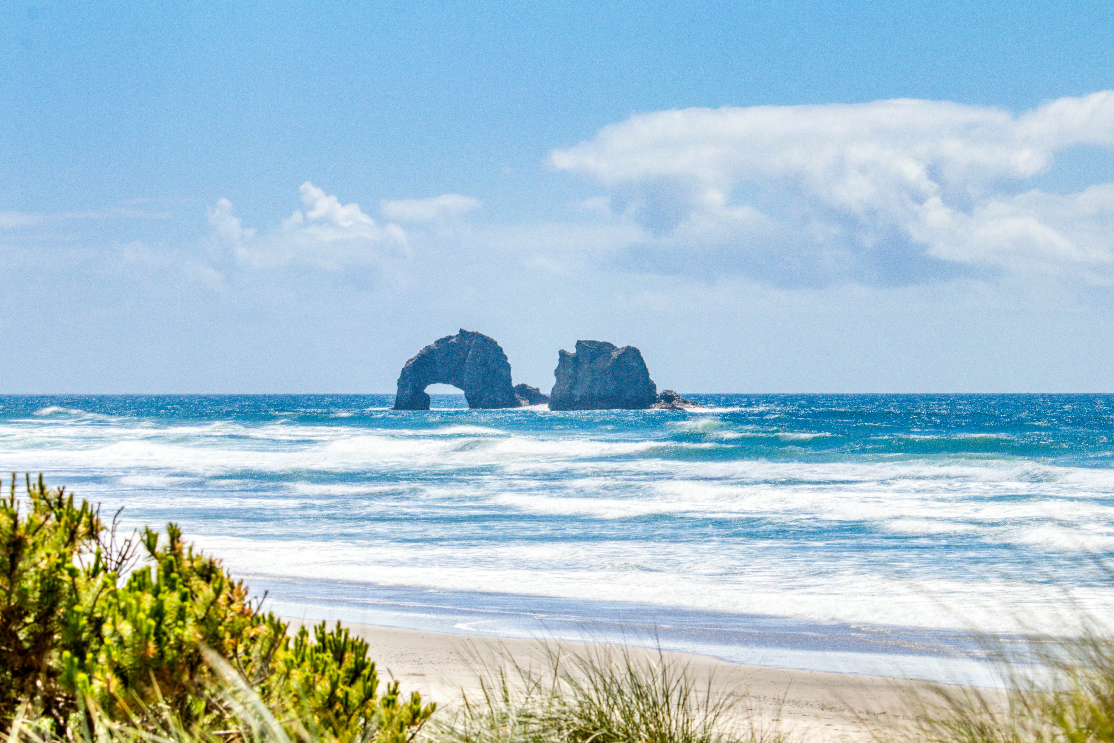 Eight Dog-Friendly Rooms w/ Kitchens & Kitchenettes - Walk to Downtown & Beach