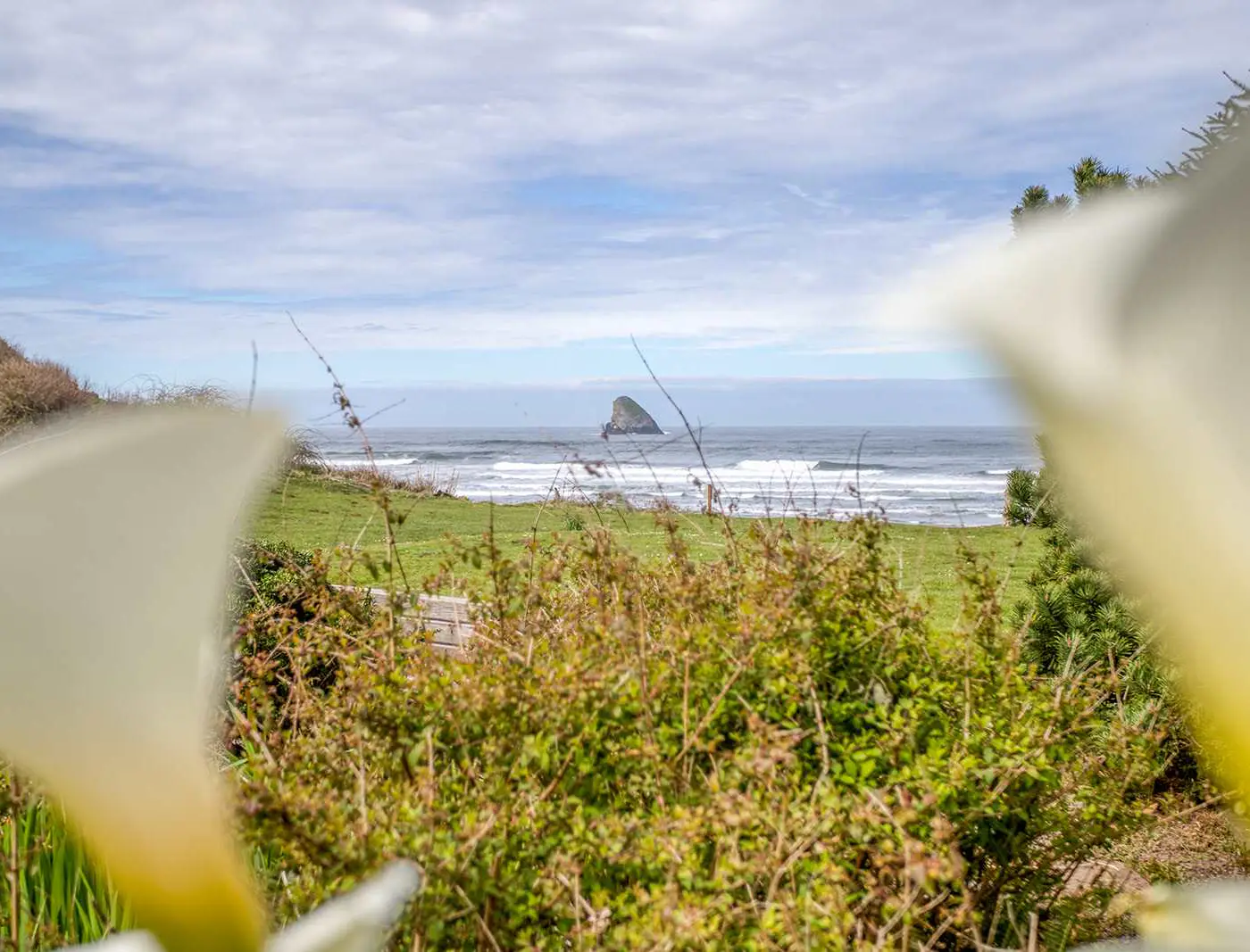 Oceanfront cottage with hot tub beach access fireplace and WiFi Dog friendly