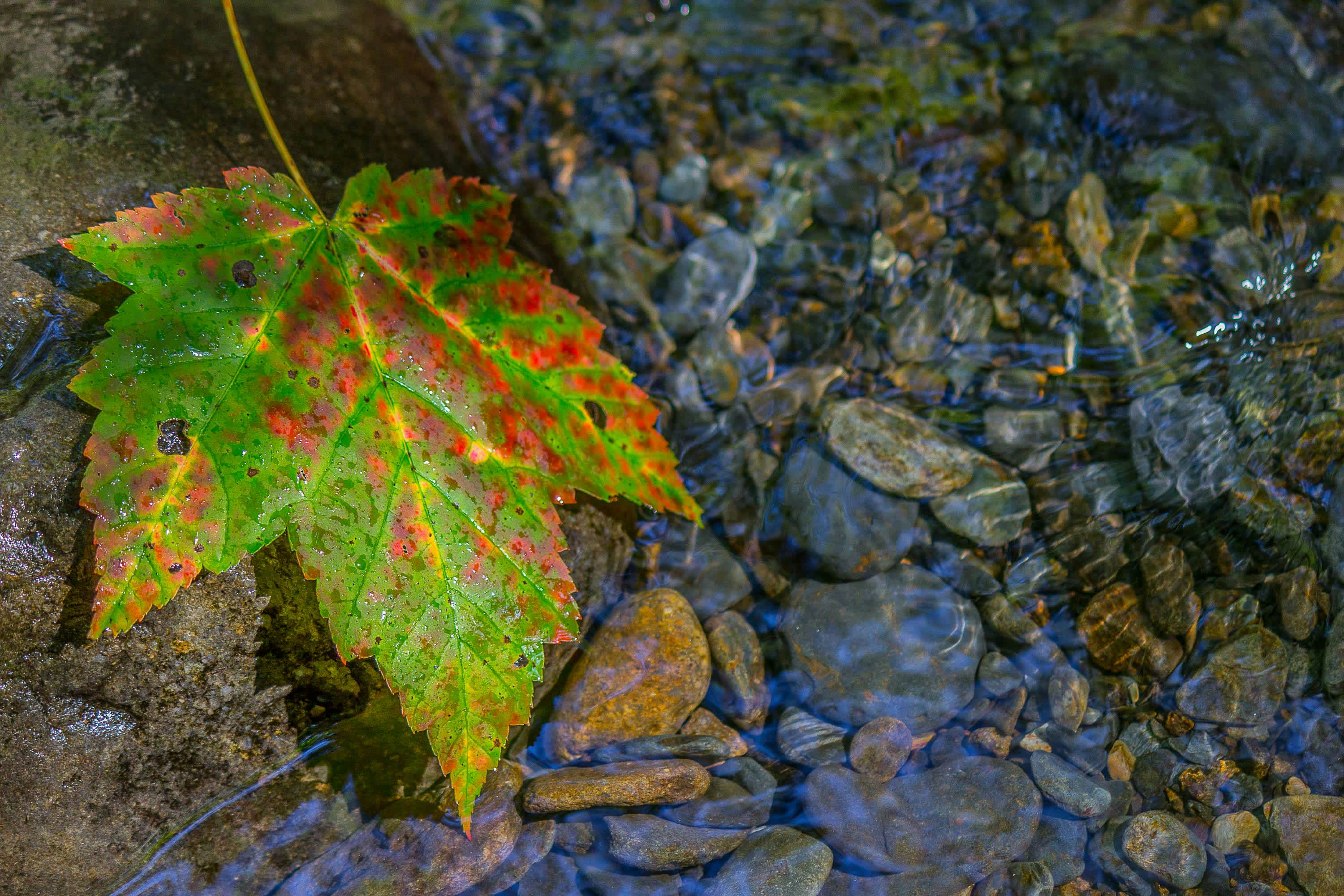 Scenic Getaway, Sleeps 8・Views, Games, Hot tub