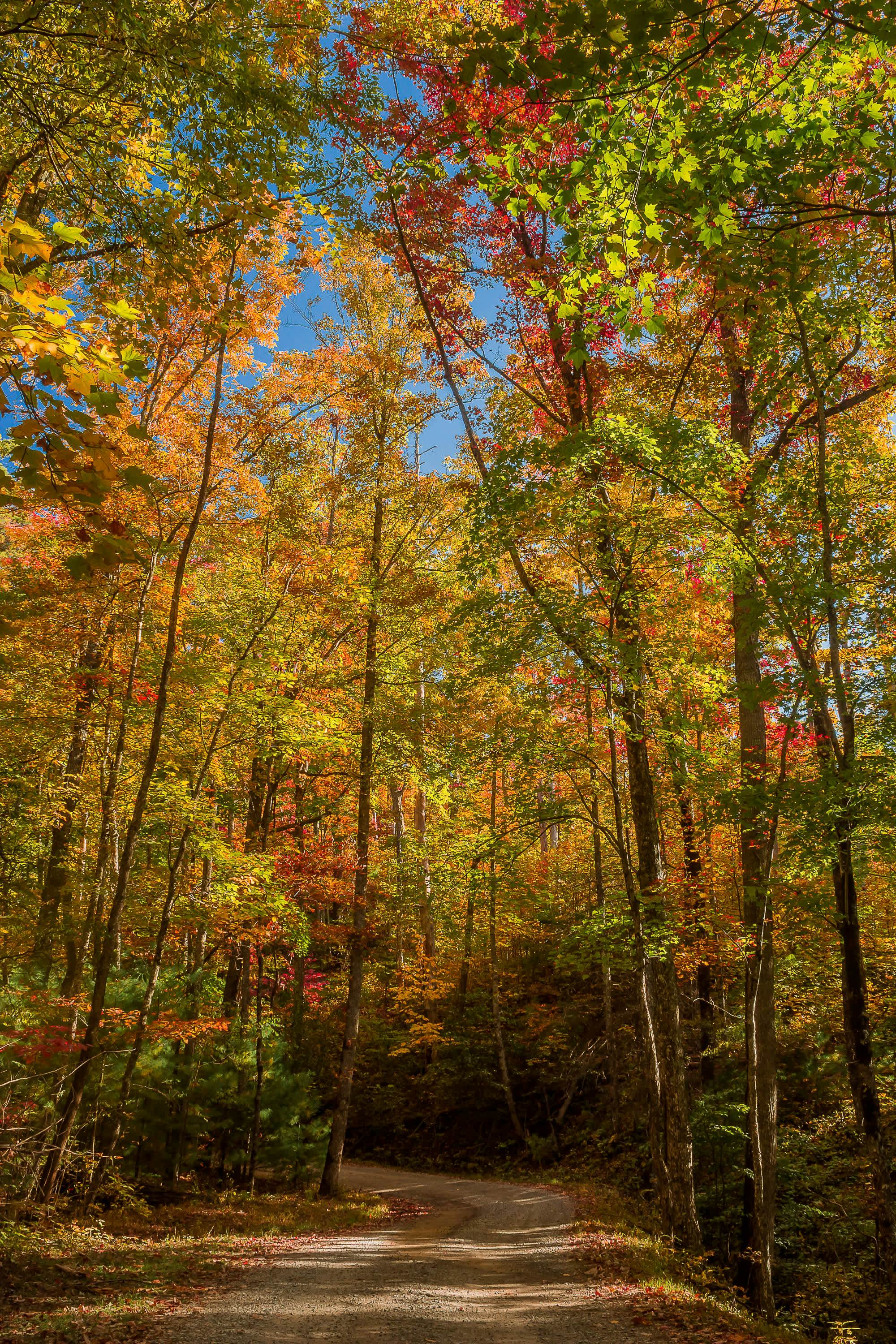 Scenic Getaway, Sleeps 8・Views, Games, Hot tub