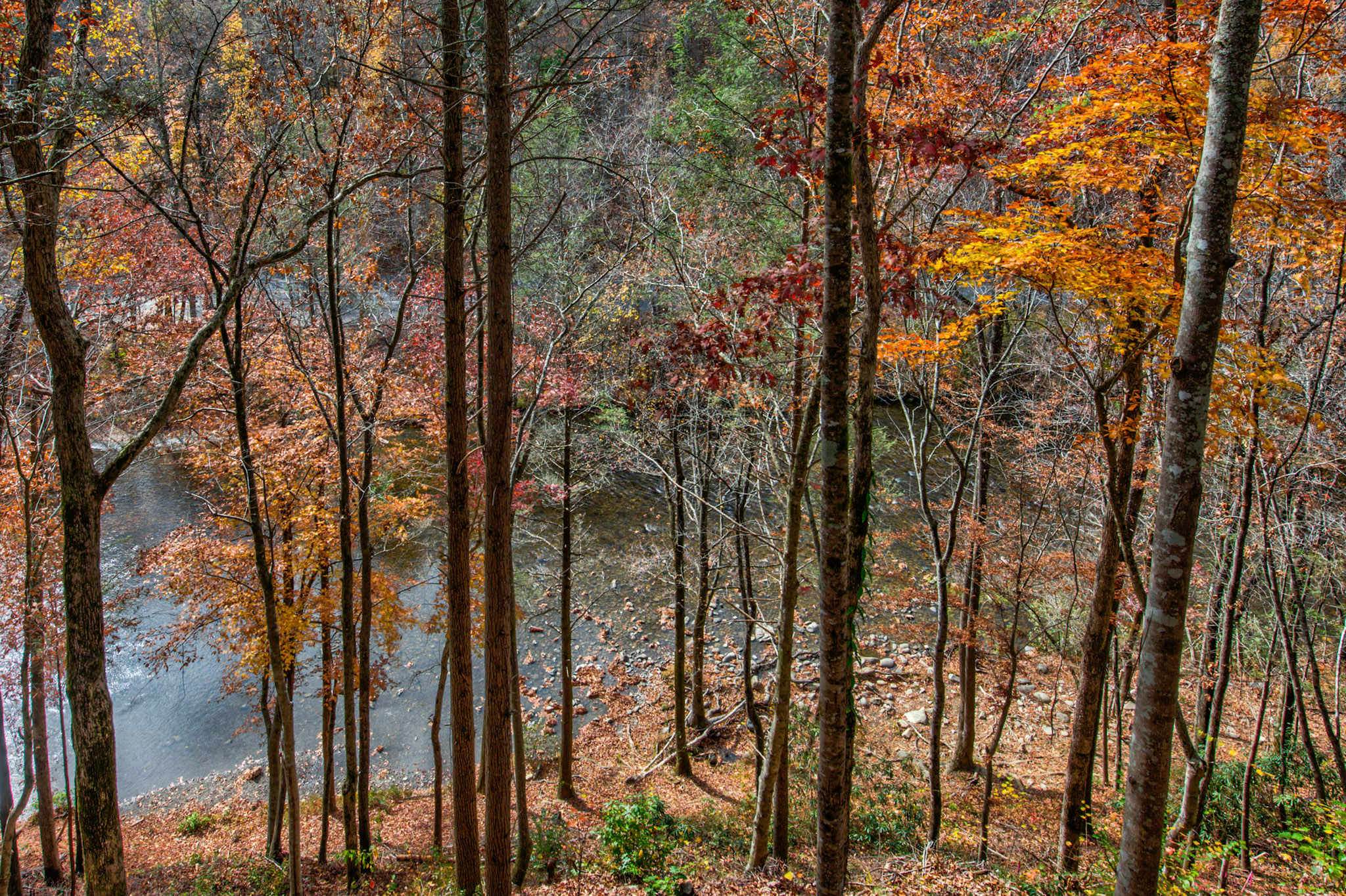 Lovely Riverfront Home, Sleeps 4・Water Views