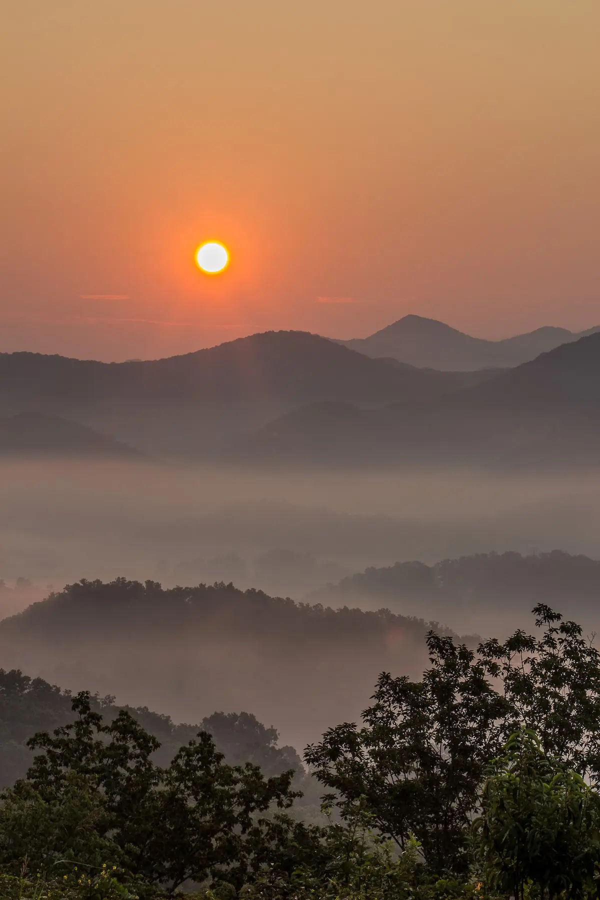 Peaceful Getaway, Sleeps 6・Pet Friendly & Hot Tub