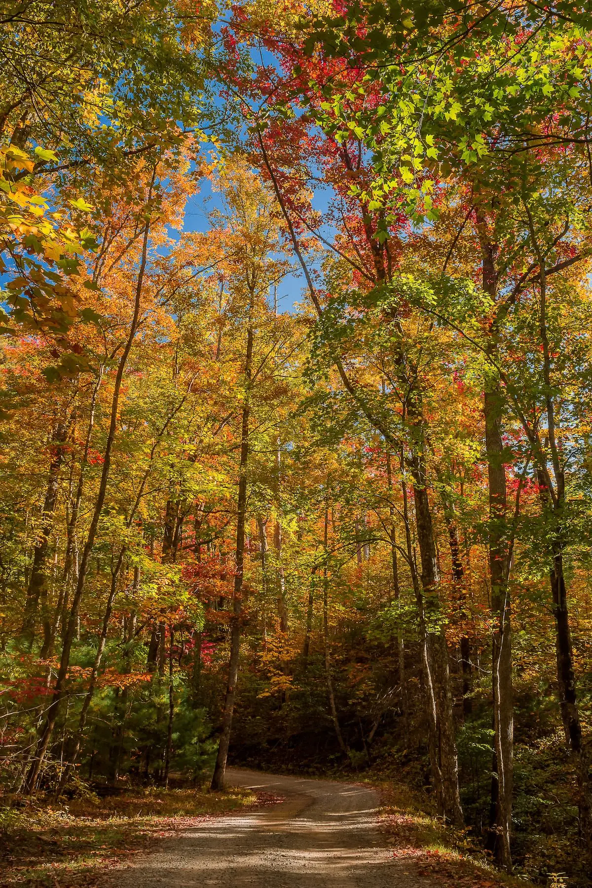 Peaceful Getaway, Sleeps 6・Pet Friendly & Hot Tub