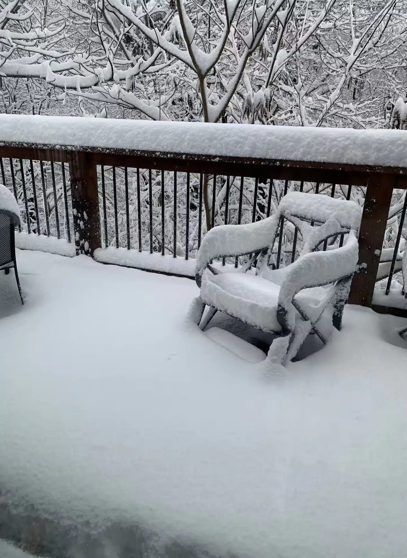 Cozy & Spacious Retreat, Sleeps 8・Hot Tub・Scenic