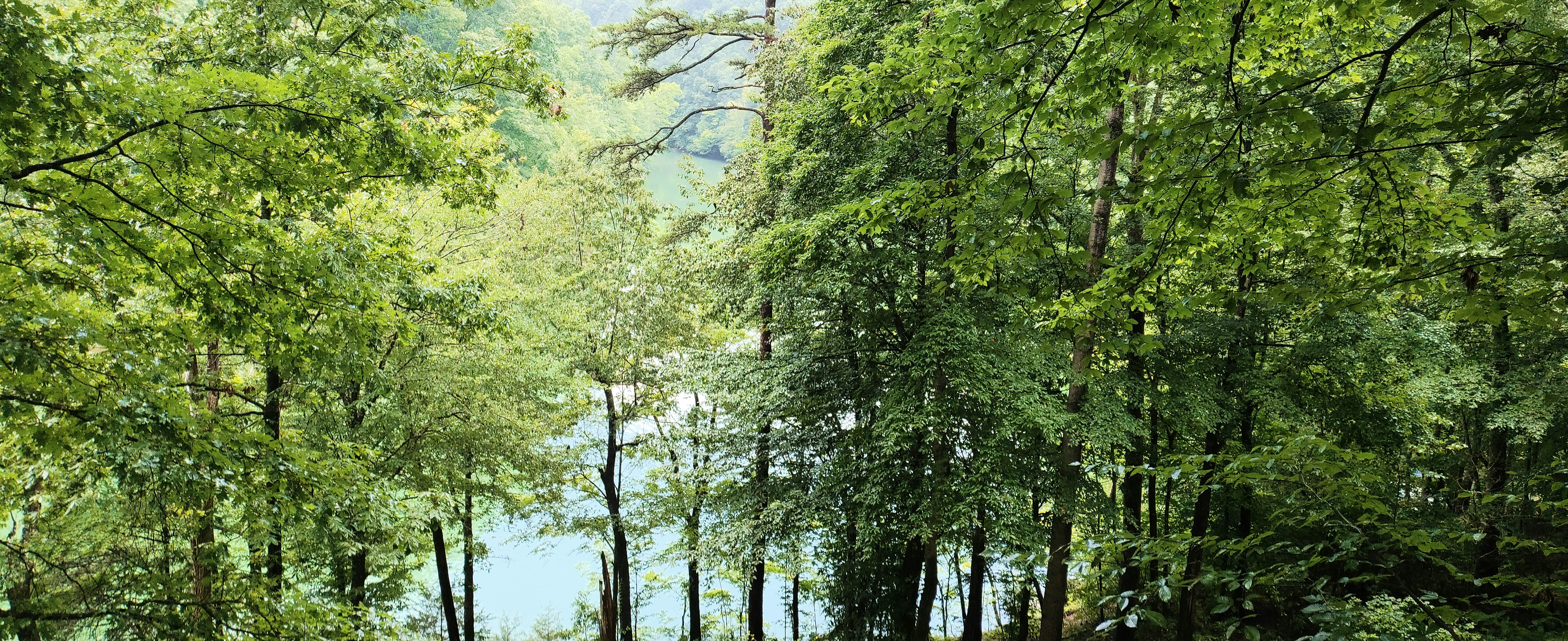 Cozy Lake Duplex | Luxe Kitchen・Games・Dog-friendly