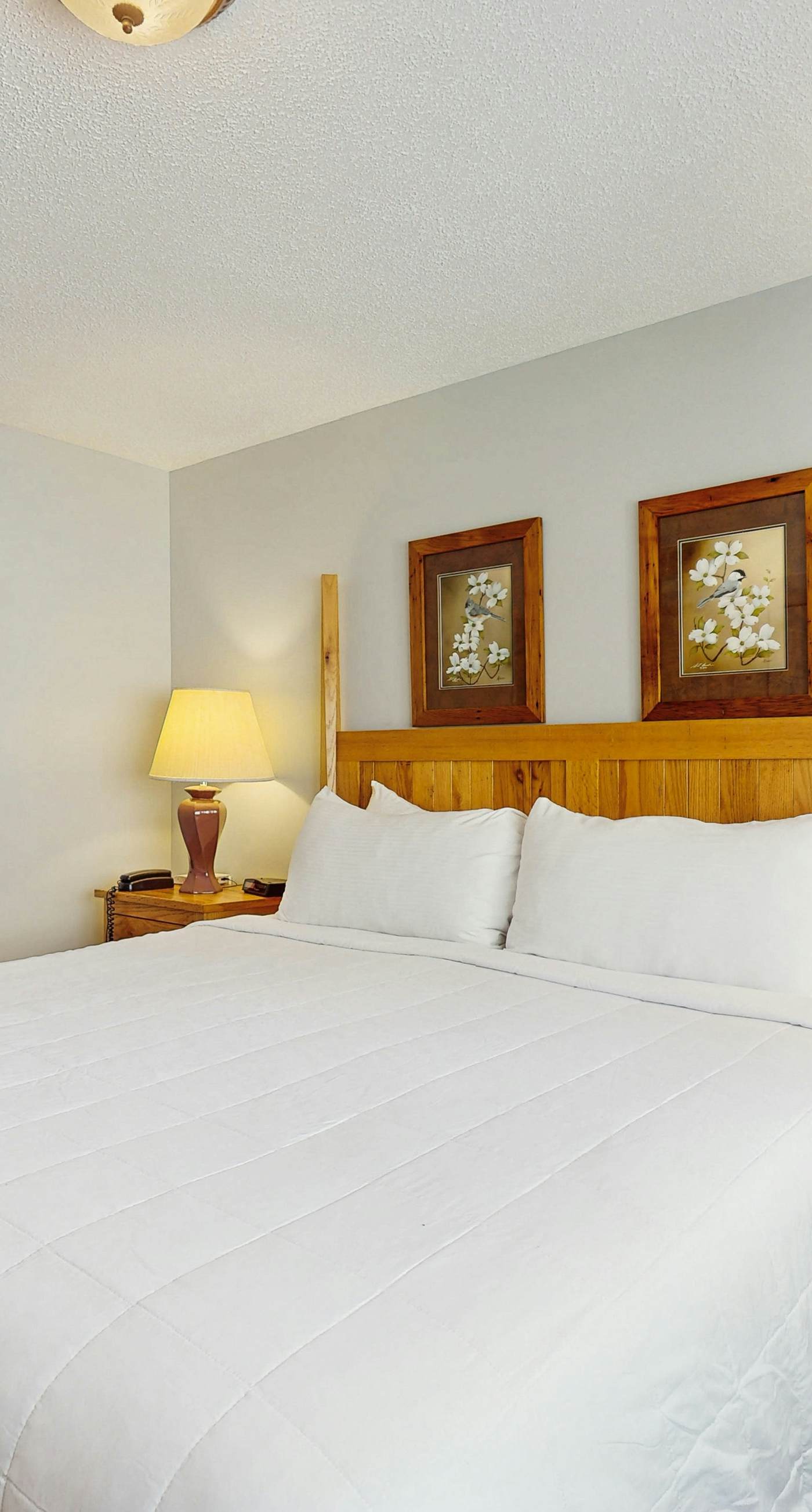 Cozy Smokies Condo Balcony, Views, Pool, Free Tickets