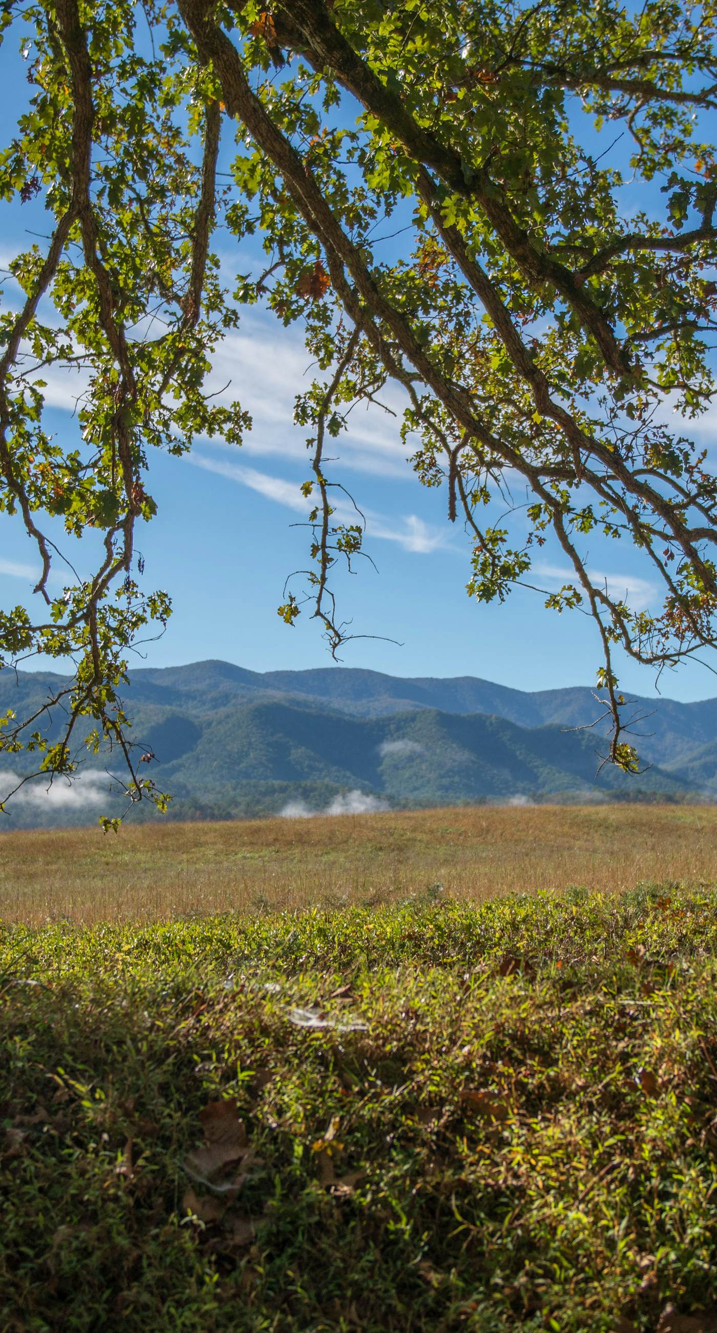 Cozy Smokies Condo Balcony, Views, Pool, Free Tickets