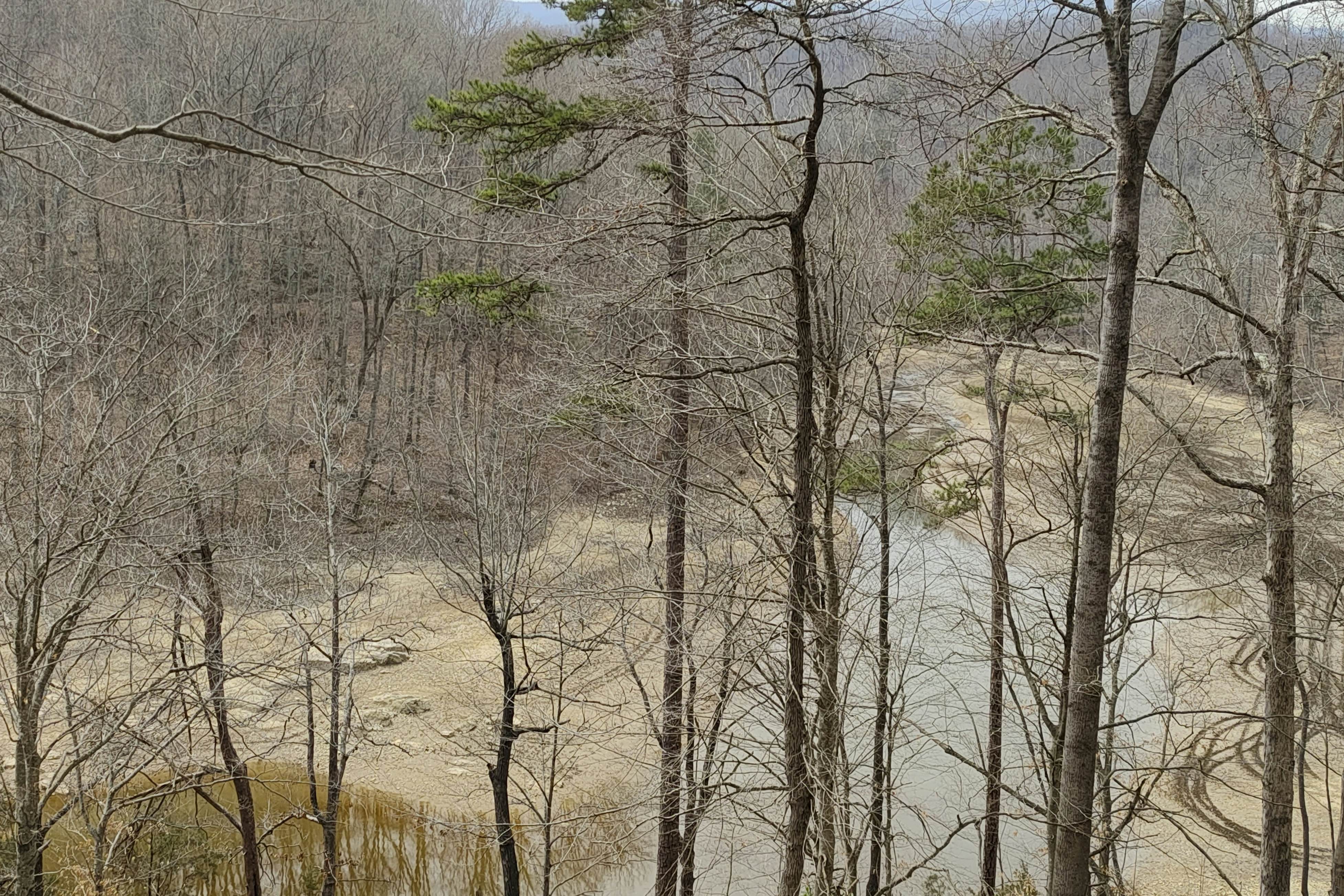 Lakefront Studio | Deck・Gas Grill・Dogs Allowed