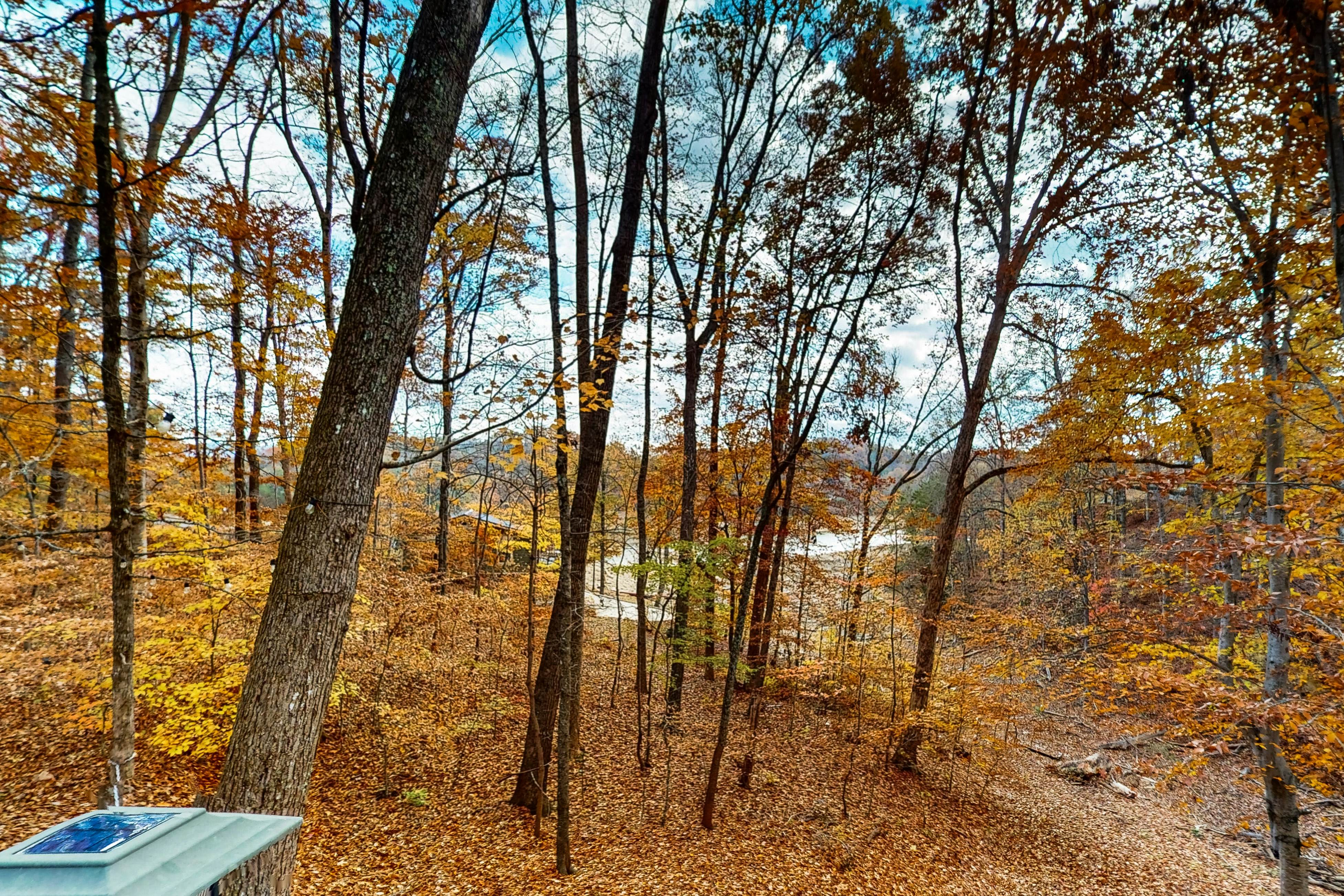 Lake Cabin, Sleeps 6・Pet Welcome・Hot Tub・Fire pit