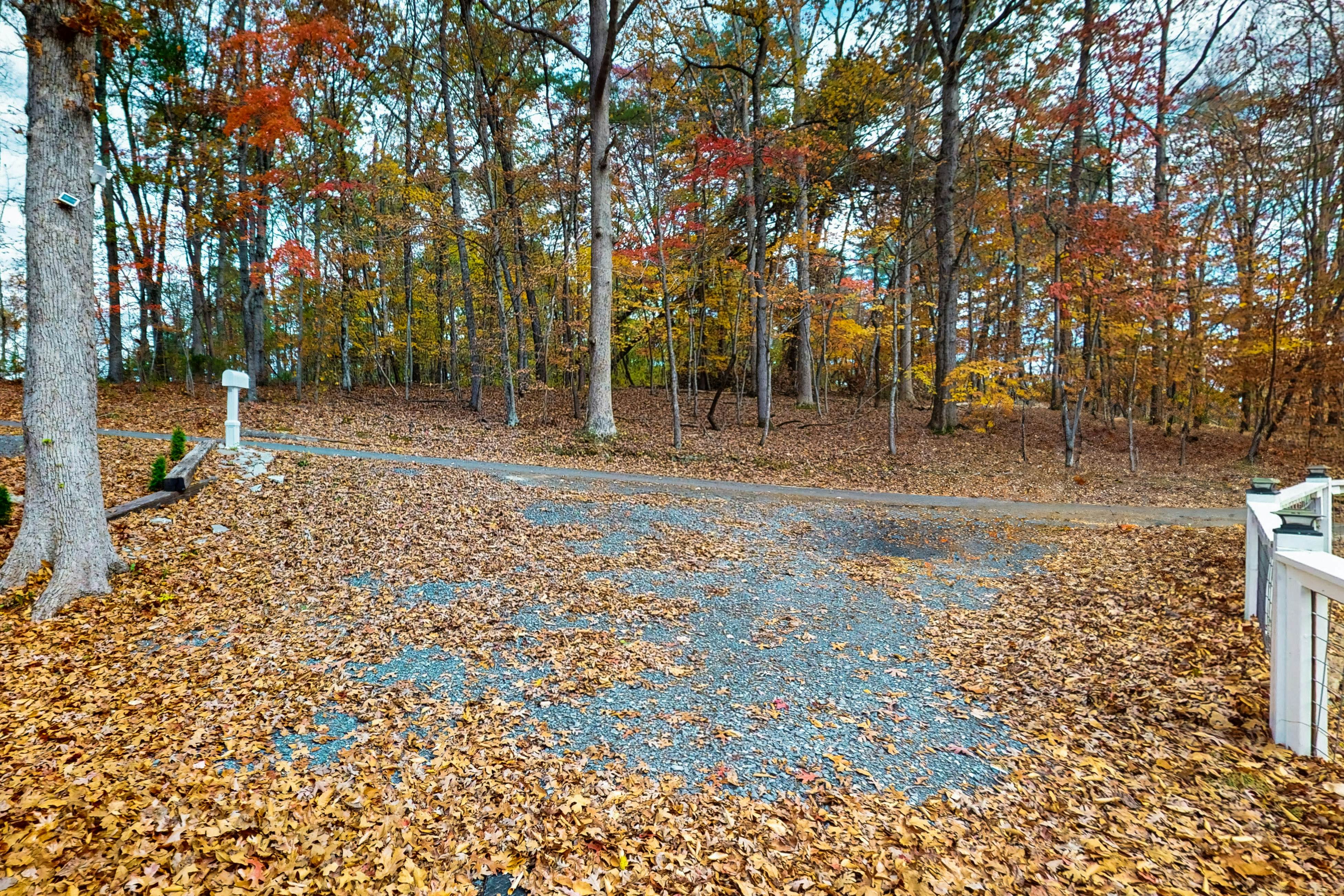 Lake Cabin, Sleeps 6・Pet Welcome・Hot Tub・Fire pit