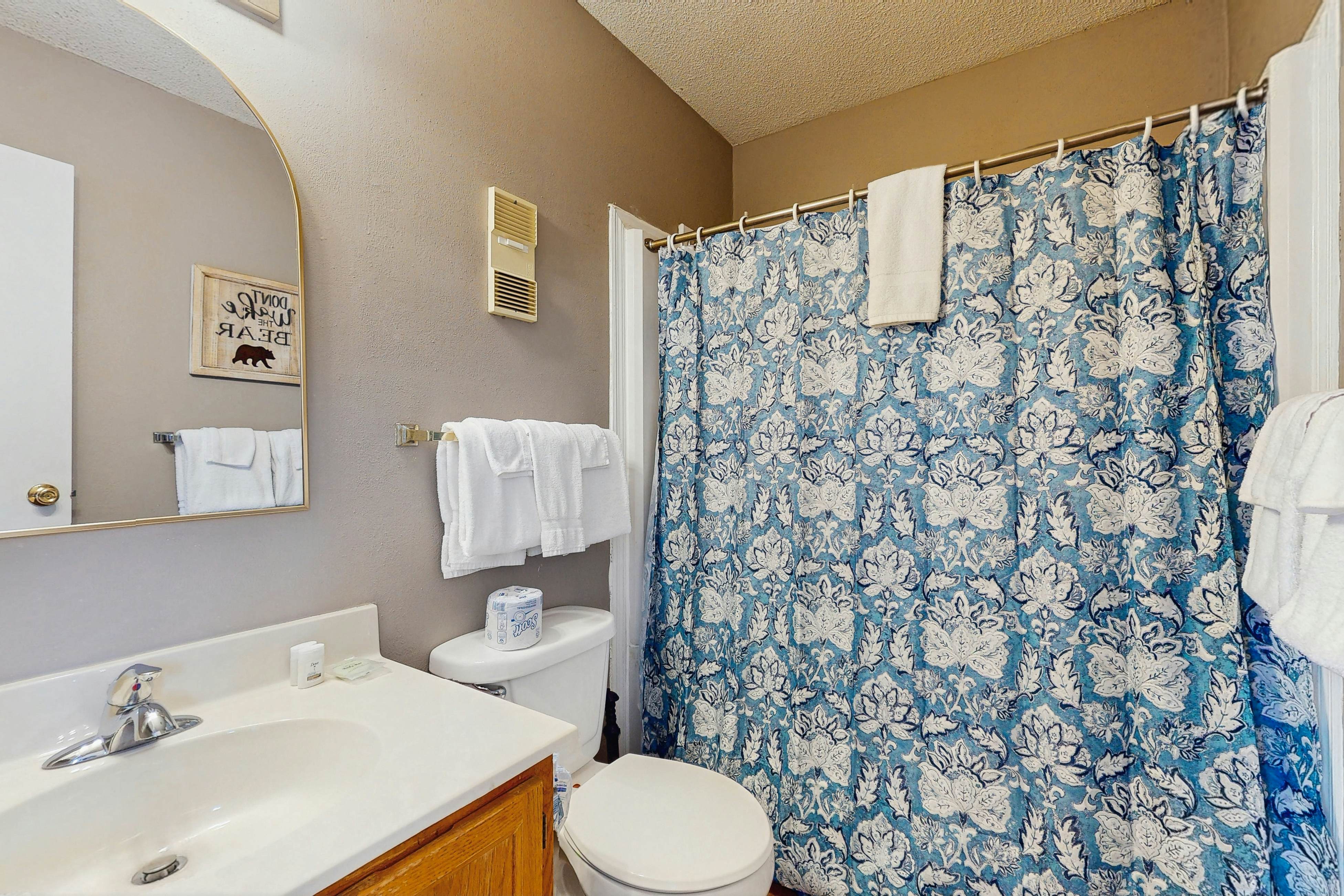 Lovely studio w/ free attraction tickets, mountain views, deck, & fireplace