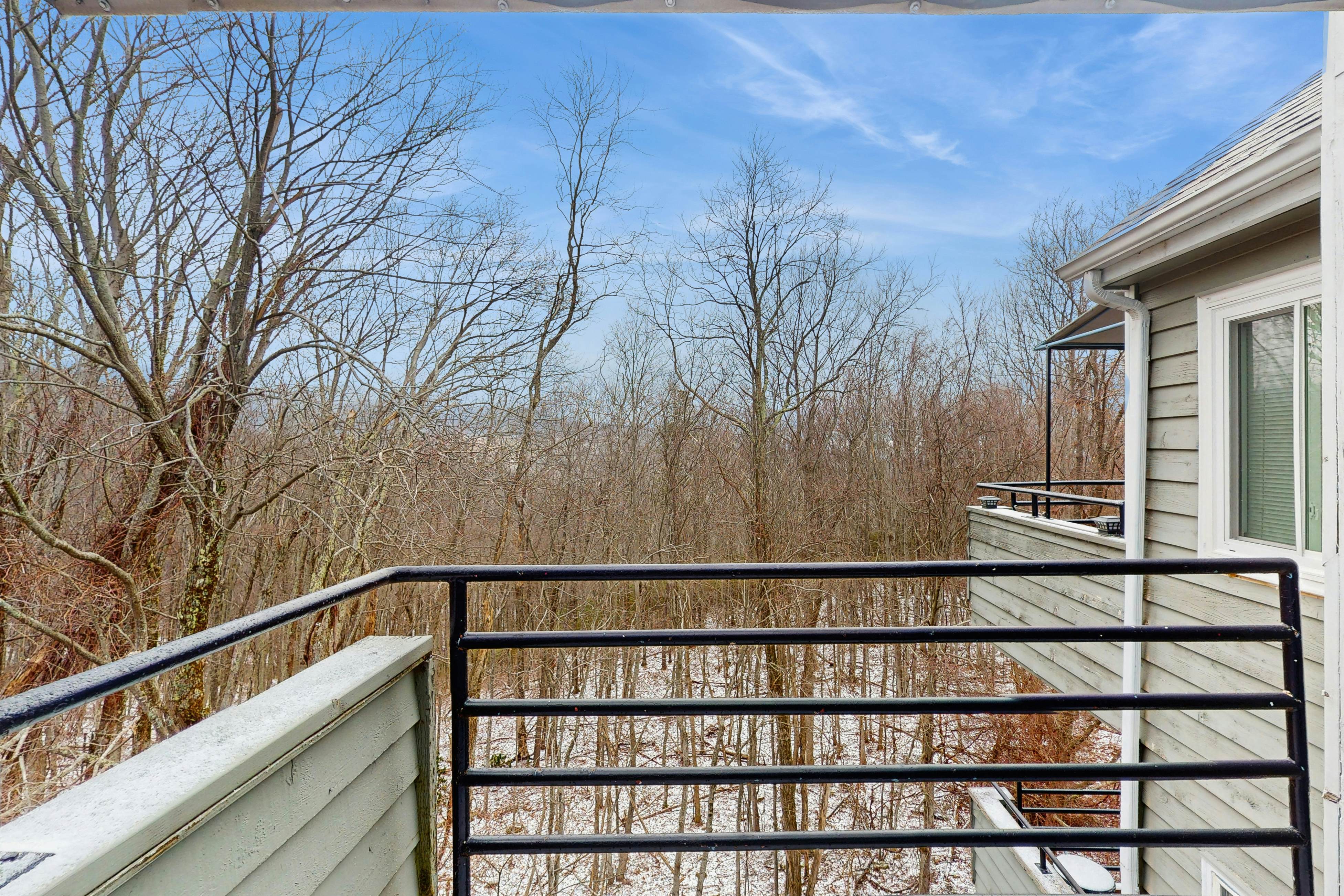 Lovely studio w/ free attraction tickets, mountain views, deck, & fireplace