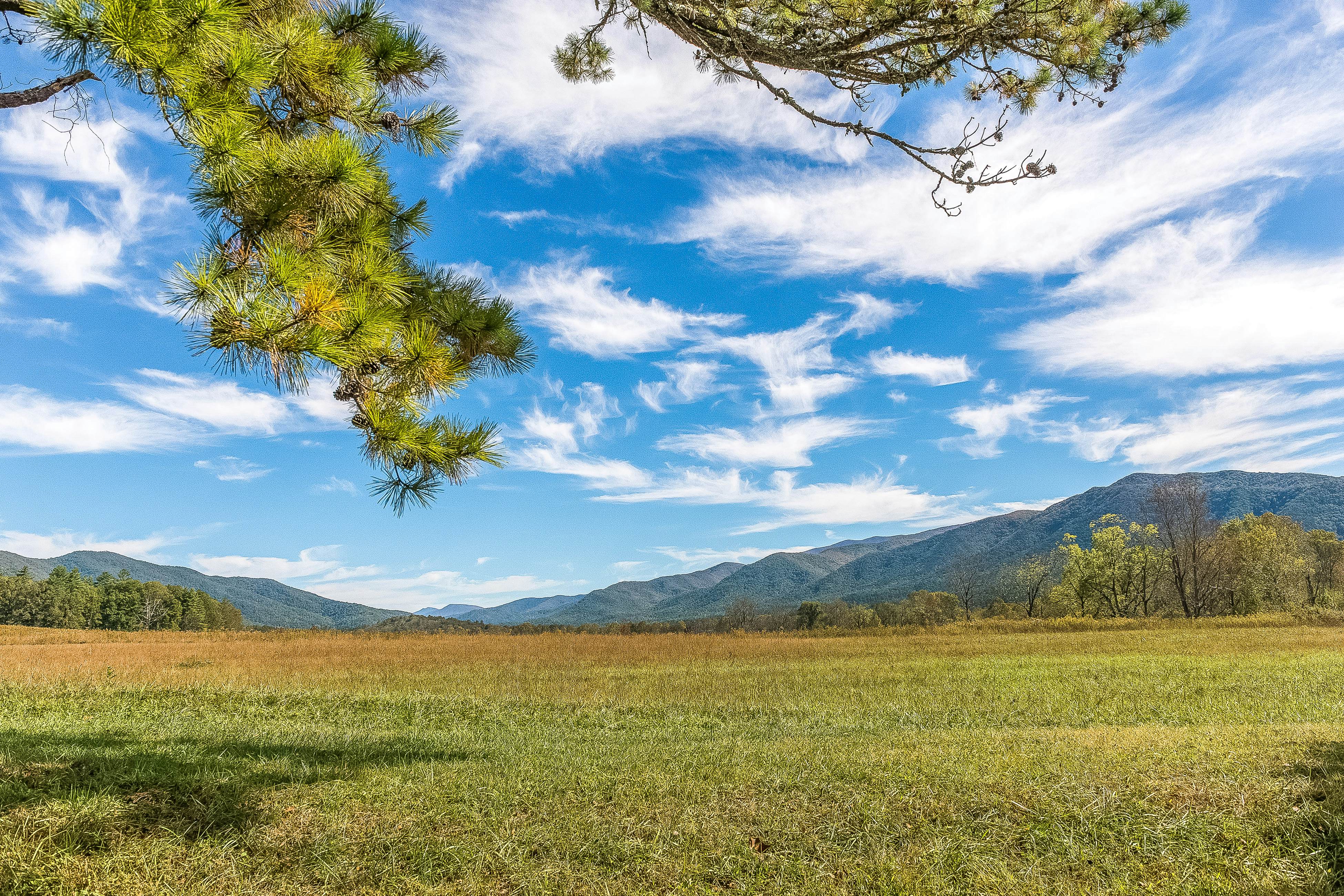 Charming Condo W Fireplace, Sleeps 8・Hot Tub・Gym