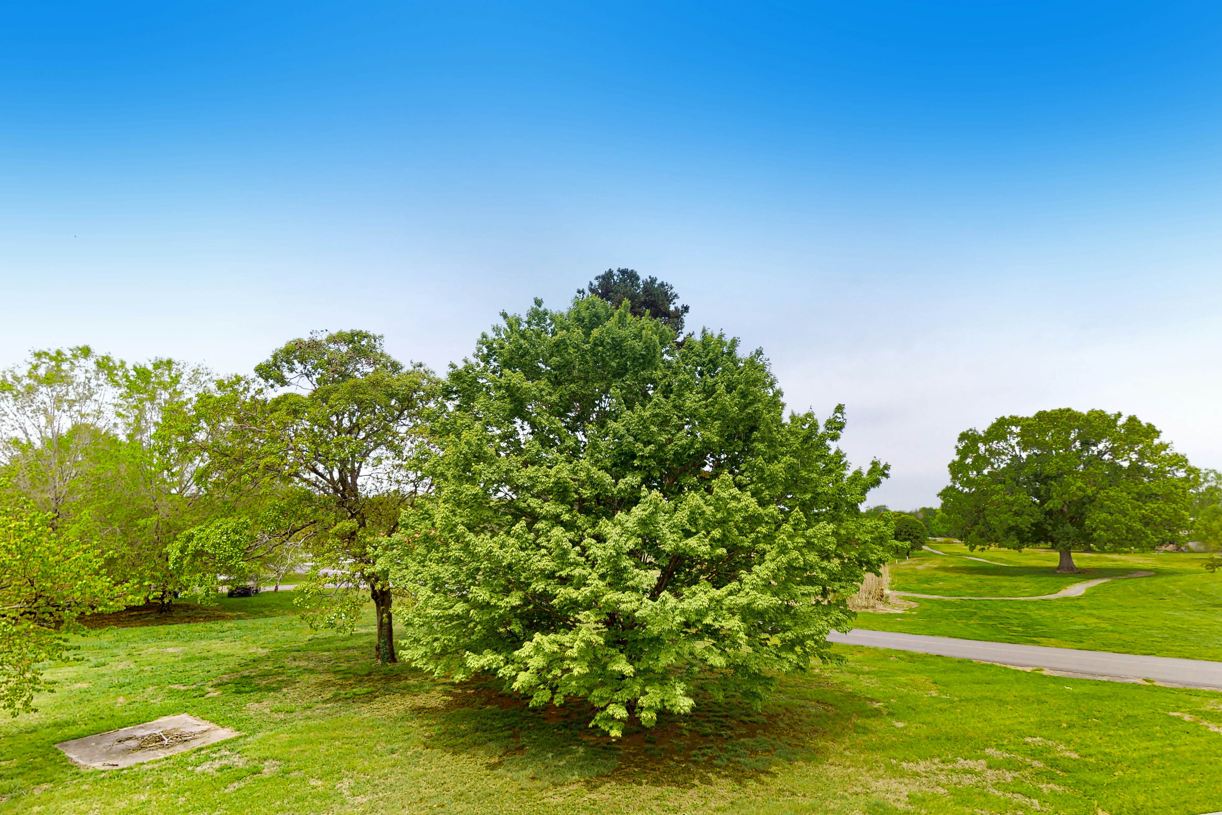 Peaceful Studio, Sleeps 4 W Views・Gym・Near Lake