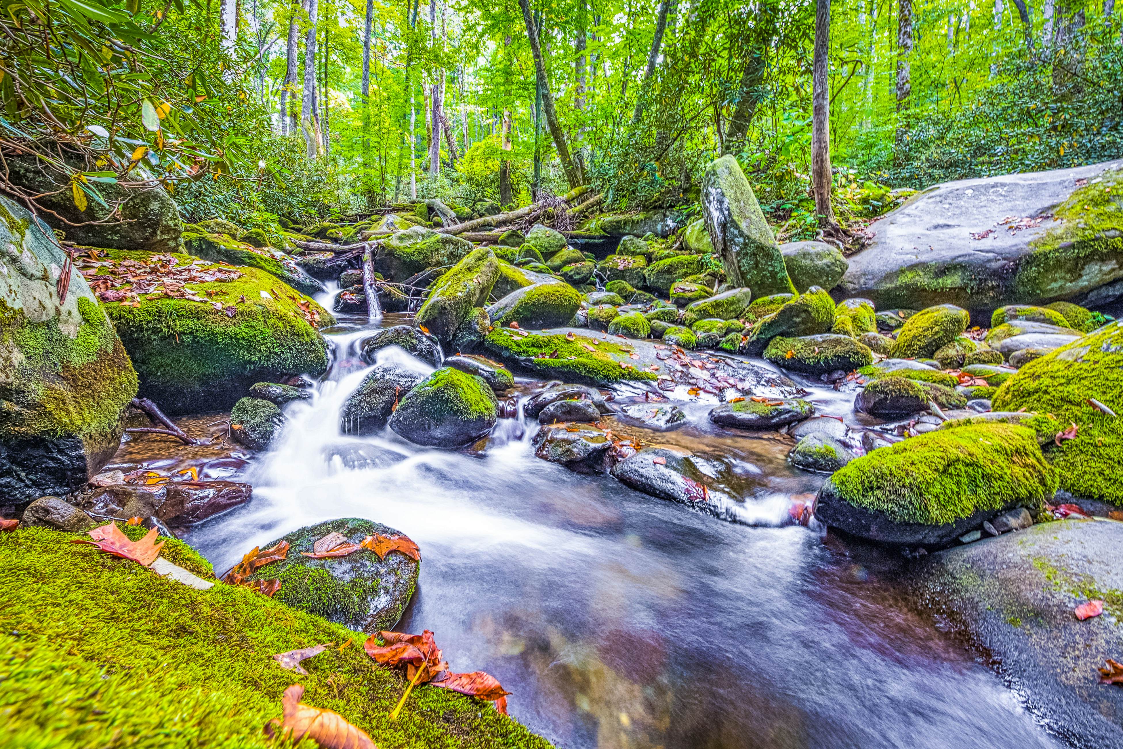 Welcoming Downtown Condo, Sleeps 6・Jetted tub・Gym