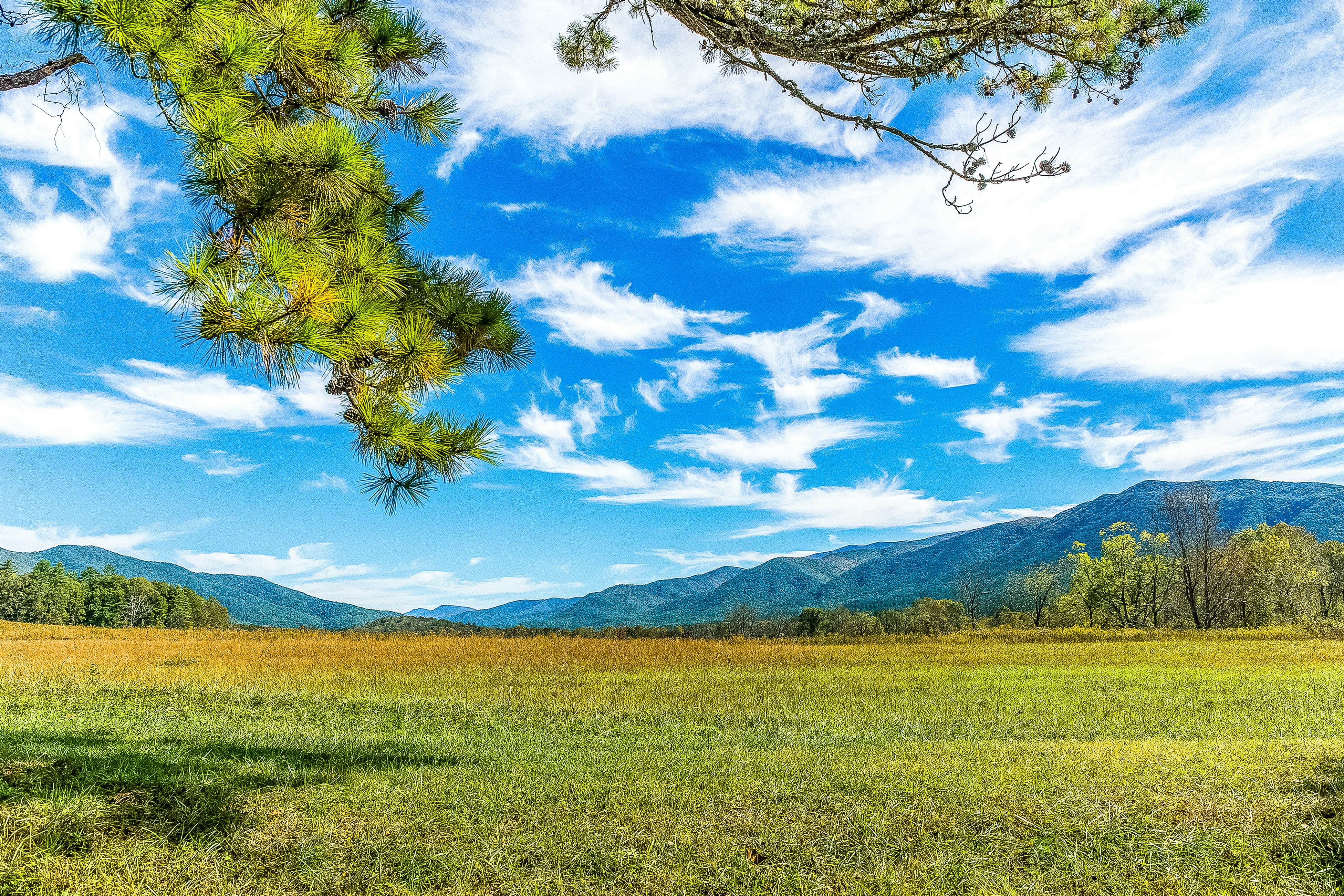 Welcoming Downtown Condo, Sleeps 6・Jetted tub・Gym