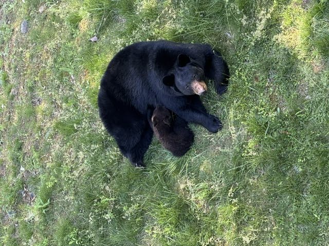 Large Cabin, Sleeps 20・Games・Hot Tub・Amazing Views