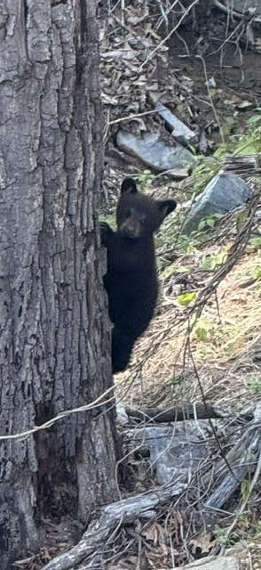 Large Cabin, Sleeps 20・Games・Hot Tub・Amazing Views