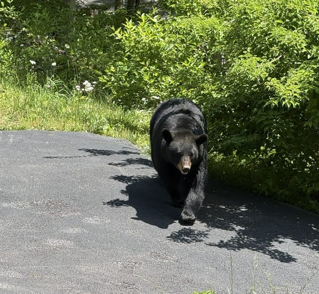 Large Cabin, Sleeps 20・Games・Hot Tub・Amazing Views