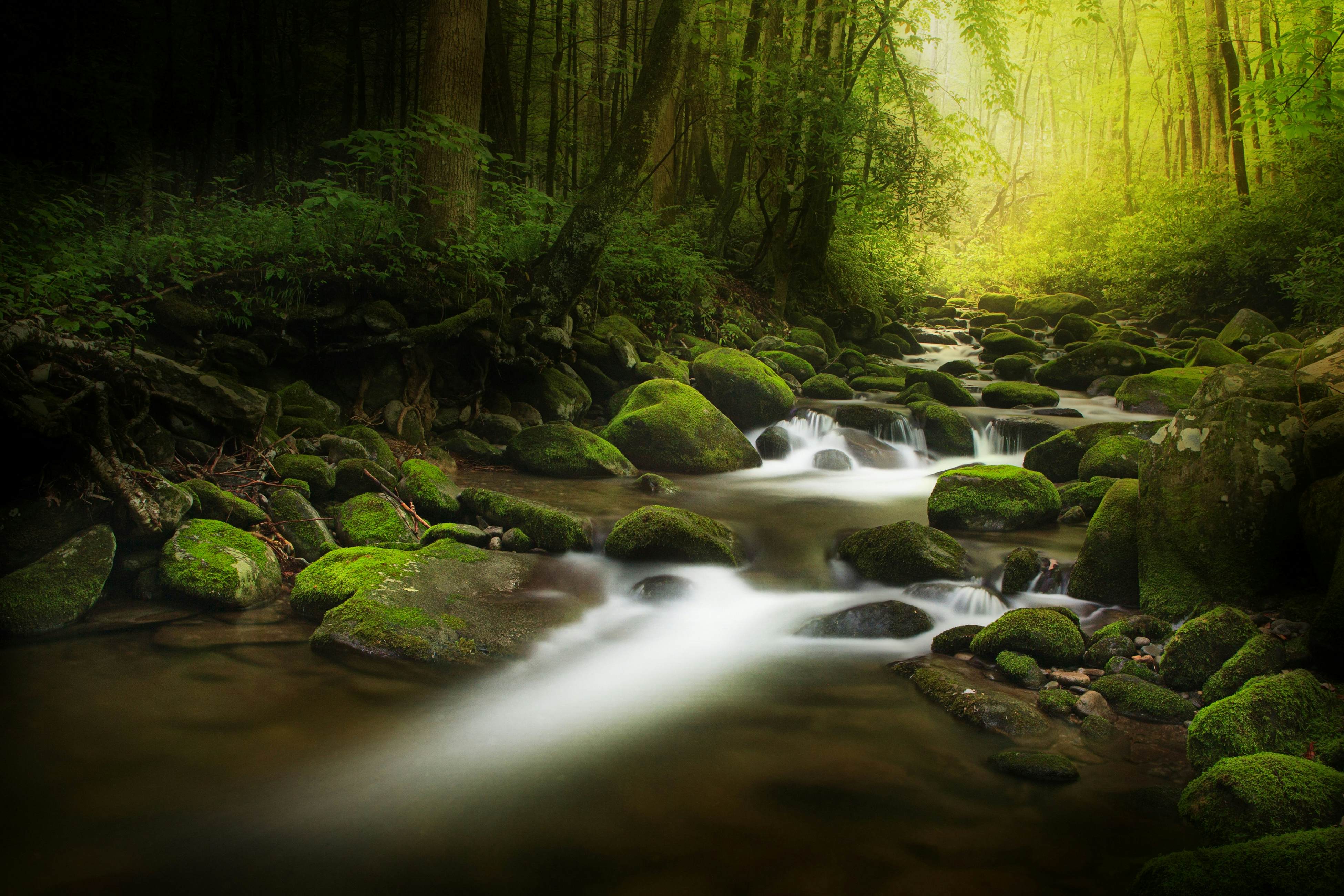 2-Unit Cabin w/ 2 Private Hot Tubs - Free Attraction Tickets