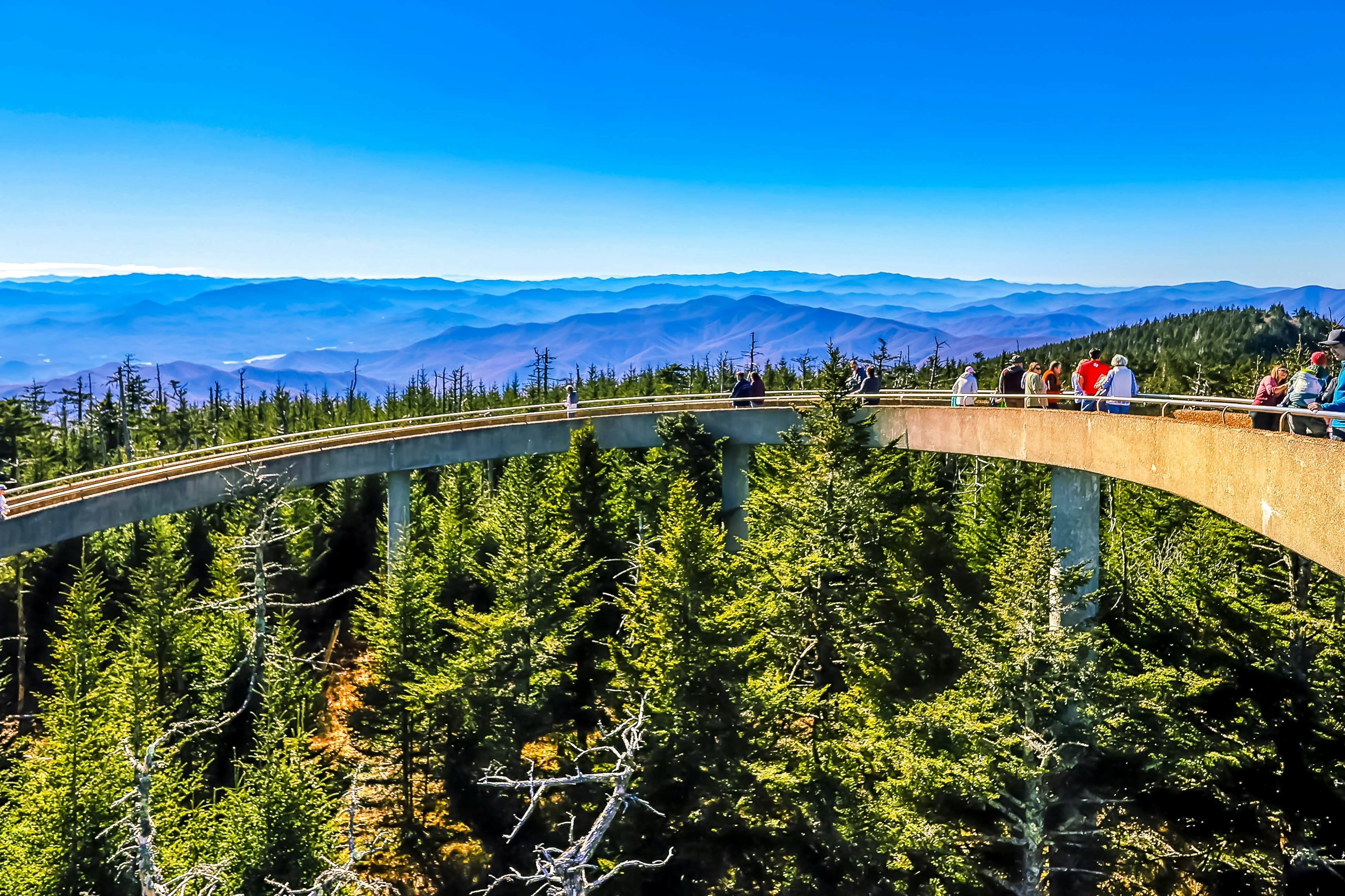 Newly Renovated Condo, Sleeps 6・Jacuzzi Tub・Gym