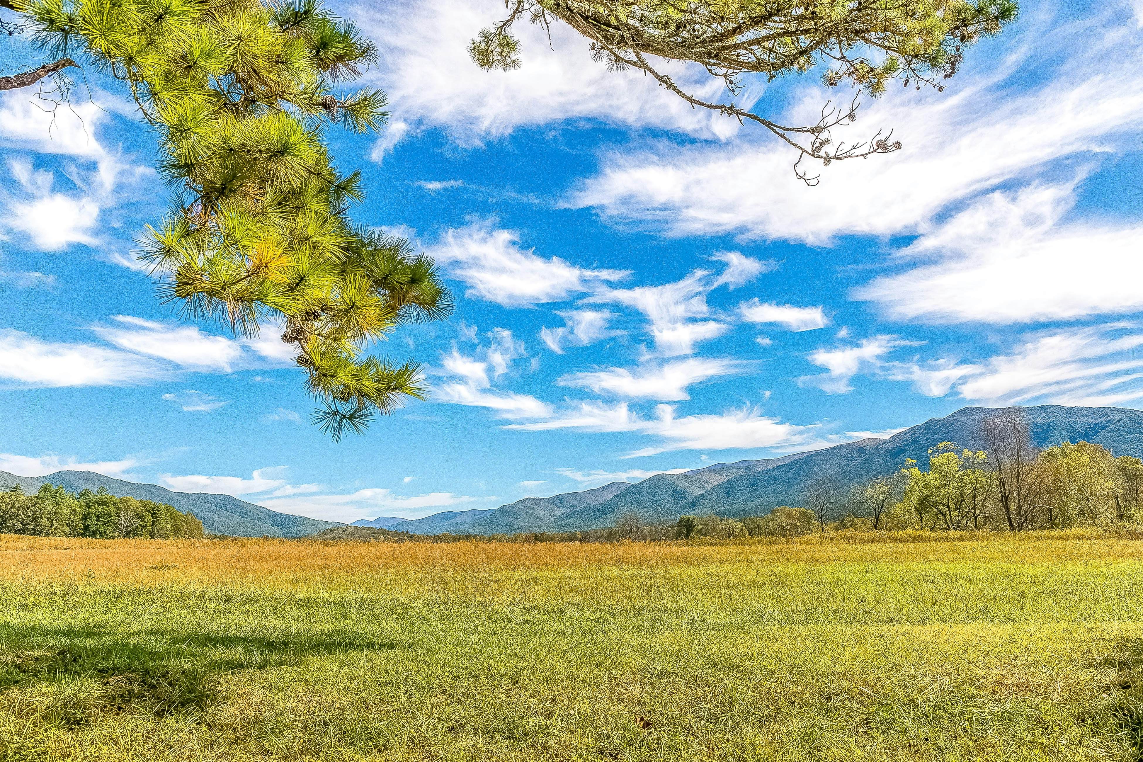Newly Renovated Condo, Sleeps 6・Jacuzzi Tub・Gym