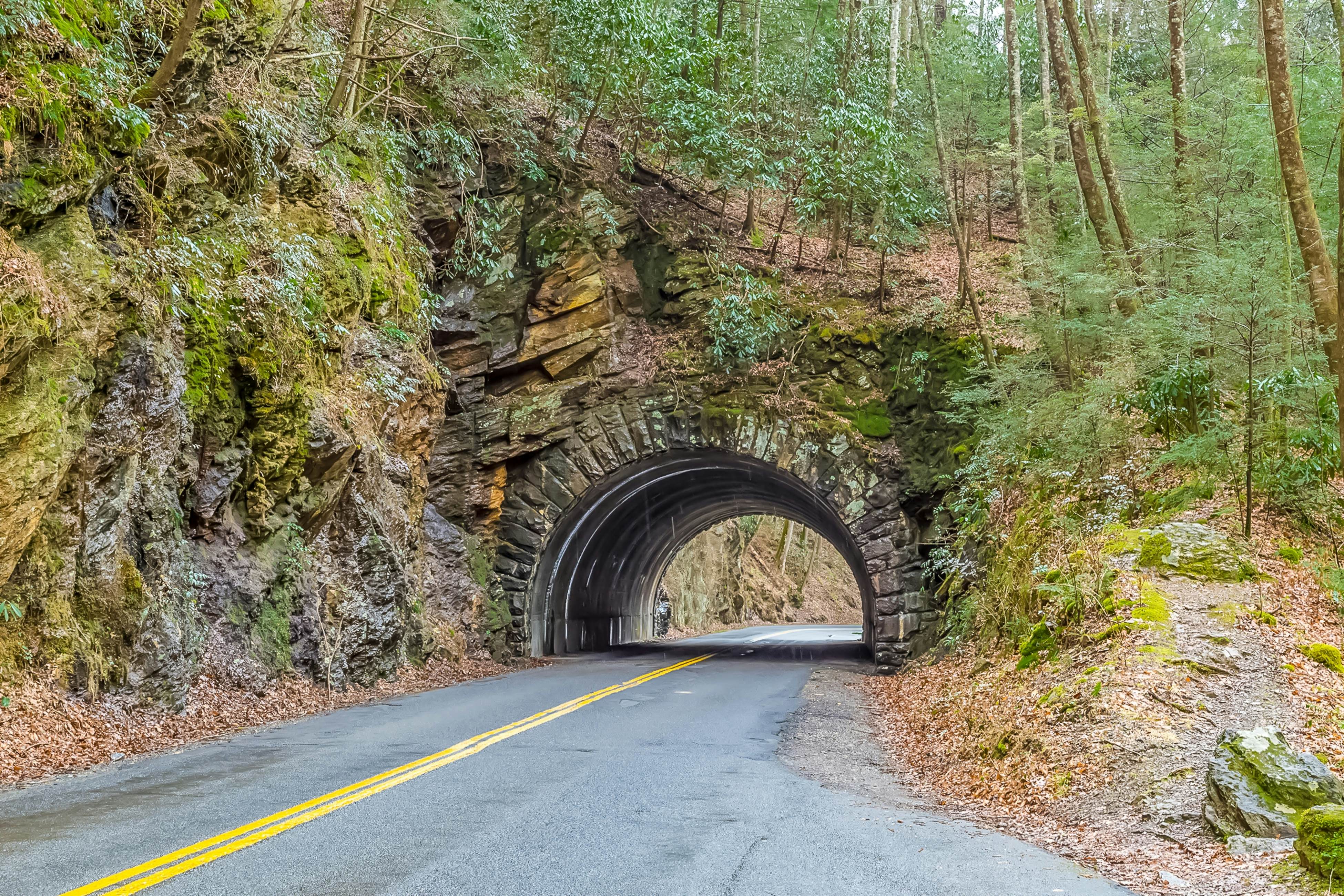 Polished Downtown Condo, Sleeps 6・Jetted Tub・Gym