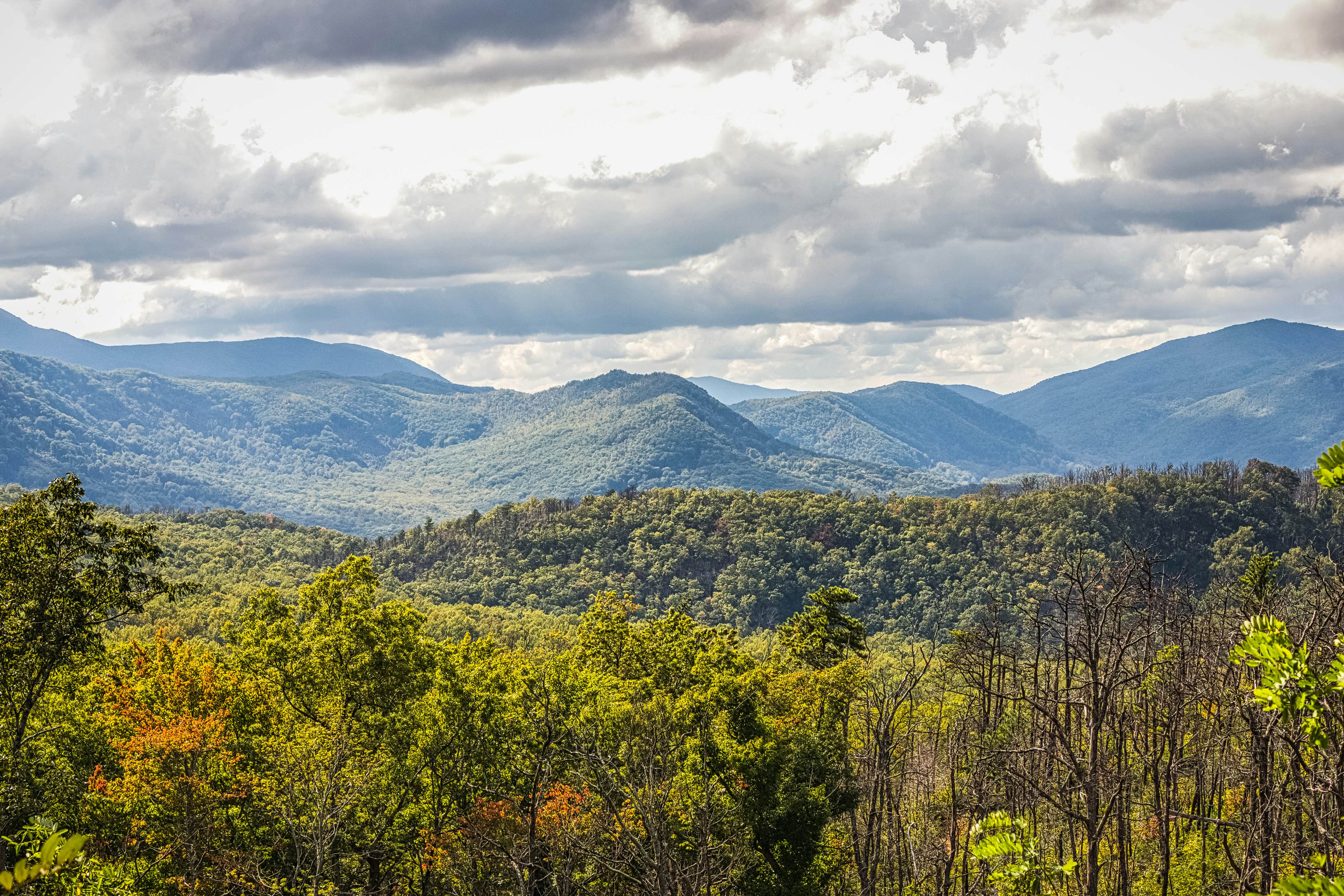 Spacious Luxe Condo, Sleeps 8・Near downtown・Tub