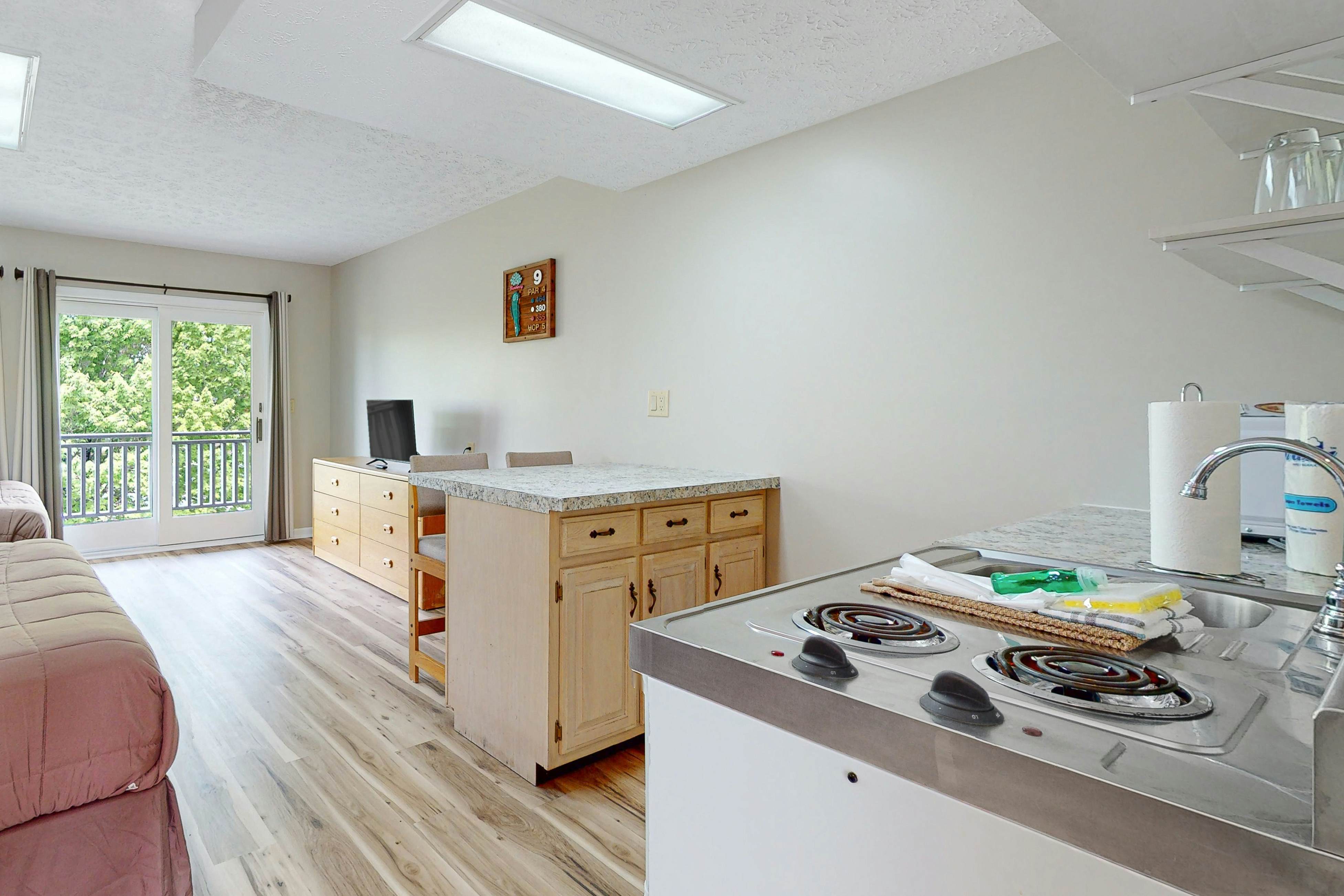 Relaxing Studio, Sleeps 4・Near Golf & Douglas Lake