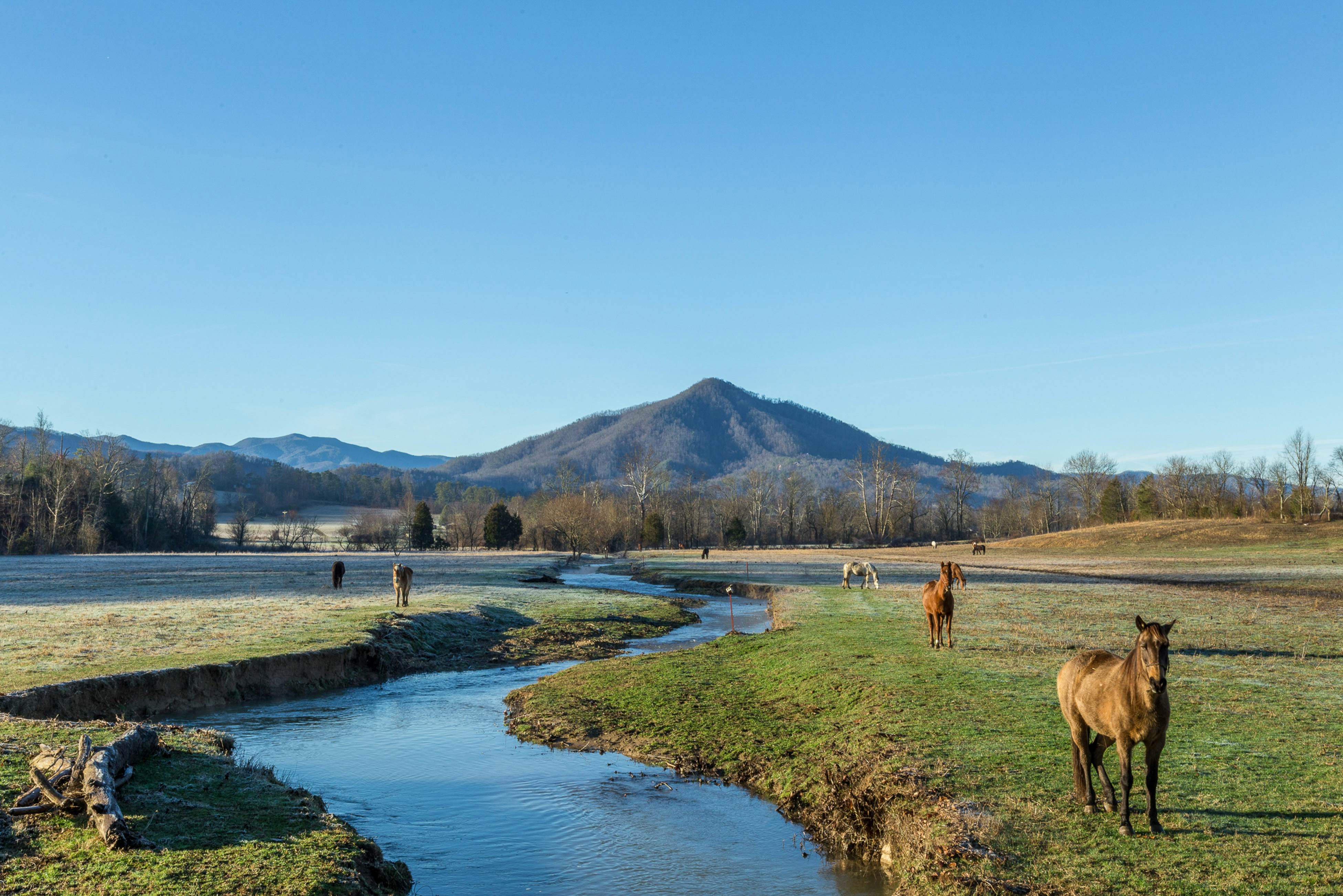 Log cabin w/ Free Attraction Tickets, hot tub, resort pool, and amazing views