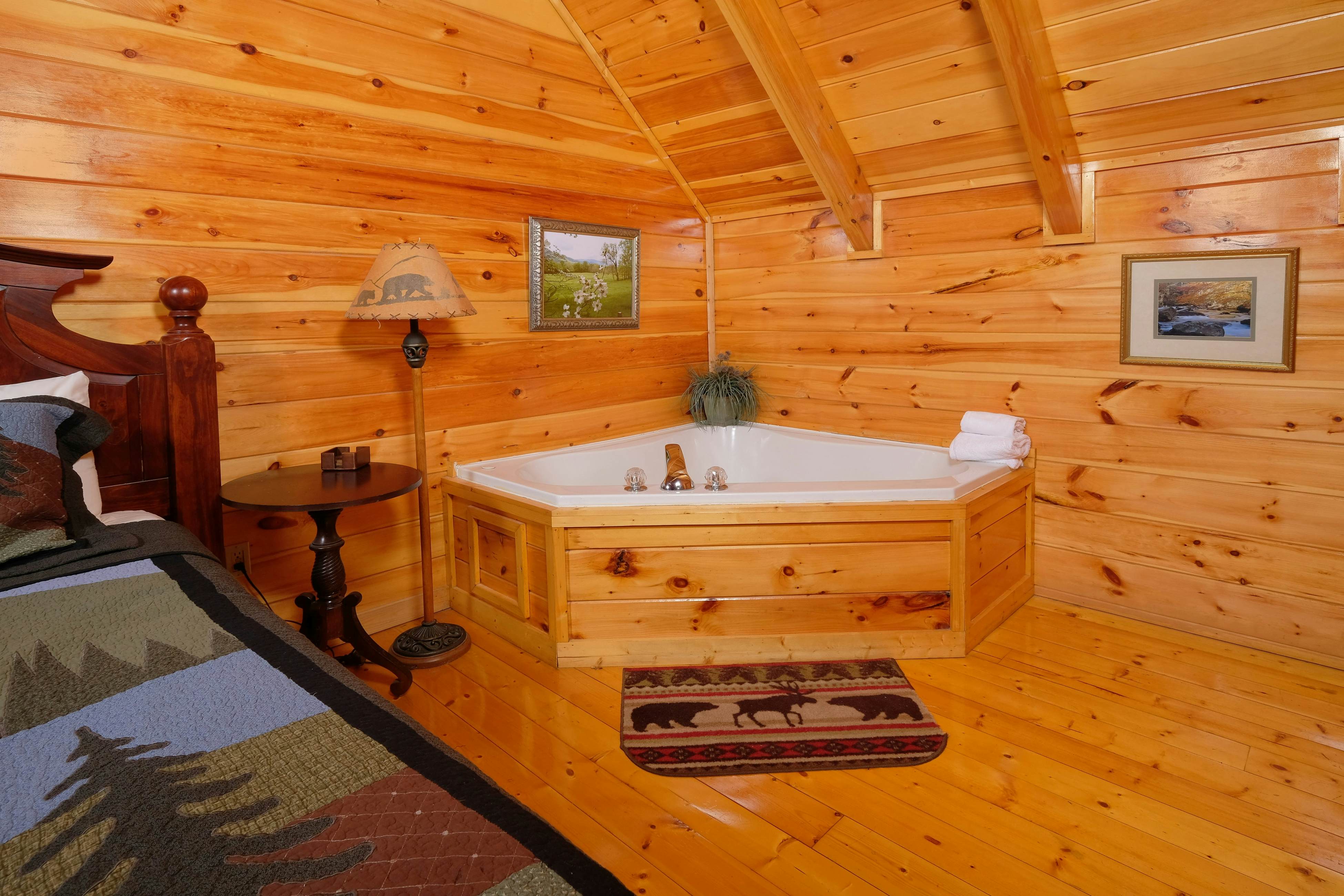Gorgeous cabin with mountain views, hot tub, fireplace, Free Attraction Tickets