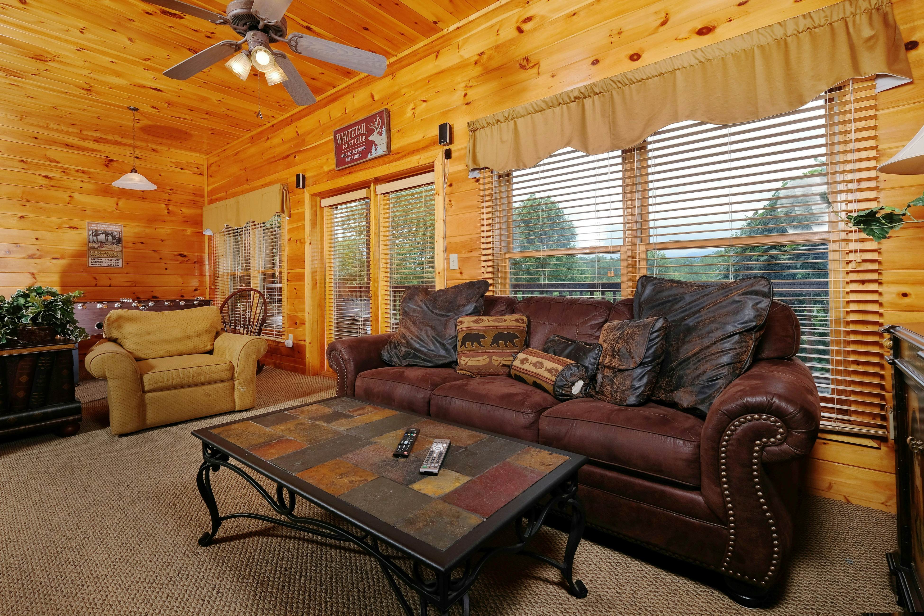 Gorgeous cabin with mountain views, hot tub, fireplace, Free Attraction Tickets