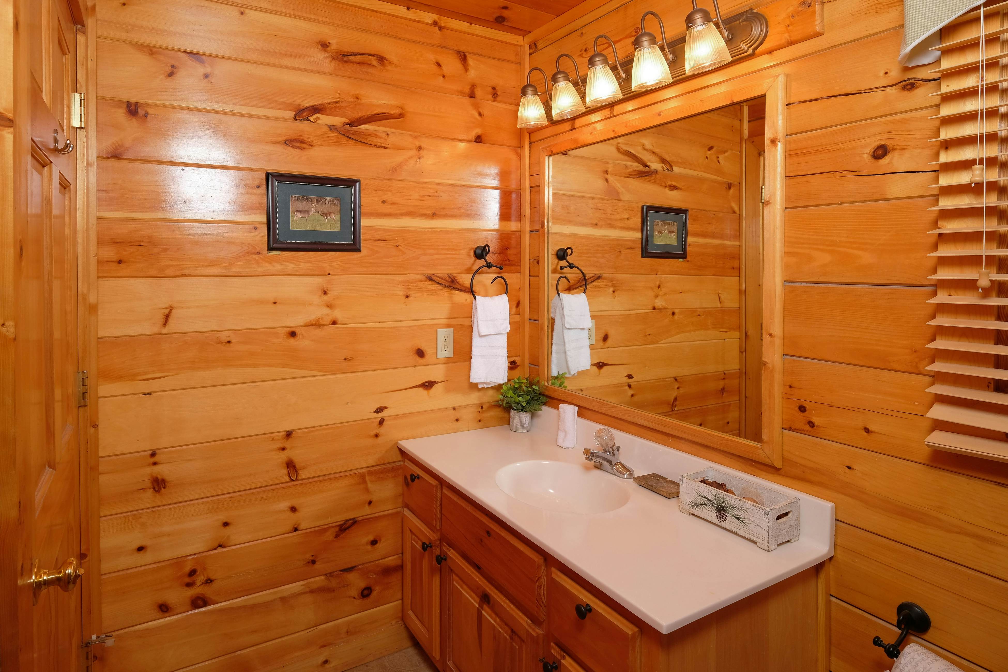 Gorgeous cabin with mountain views, hot tub, fireplace, Free Attraction Tickets