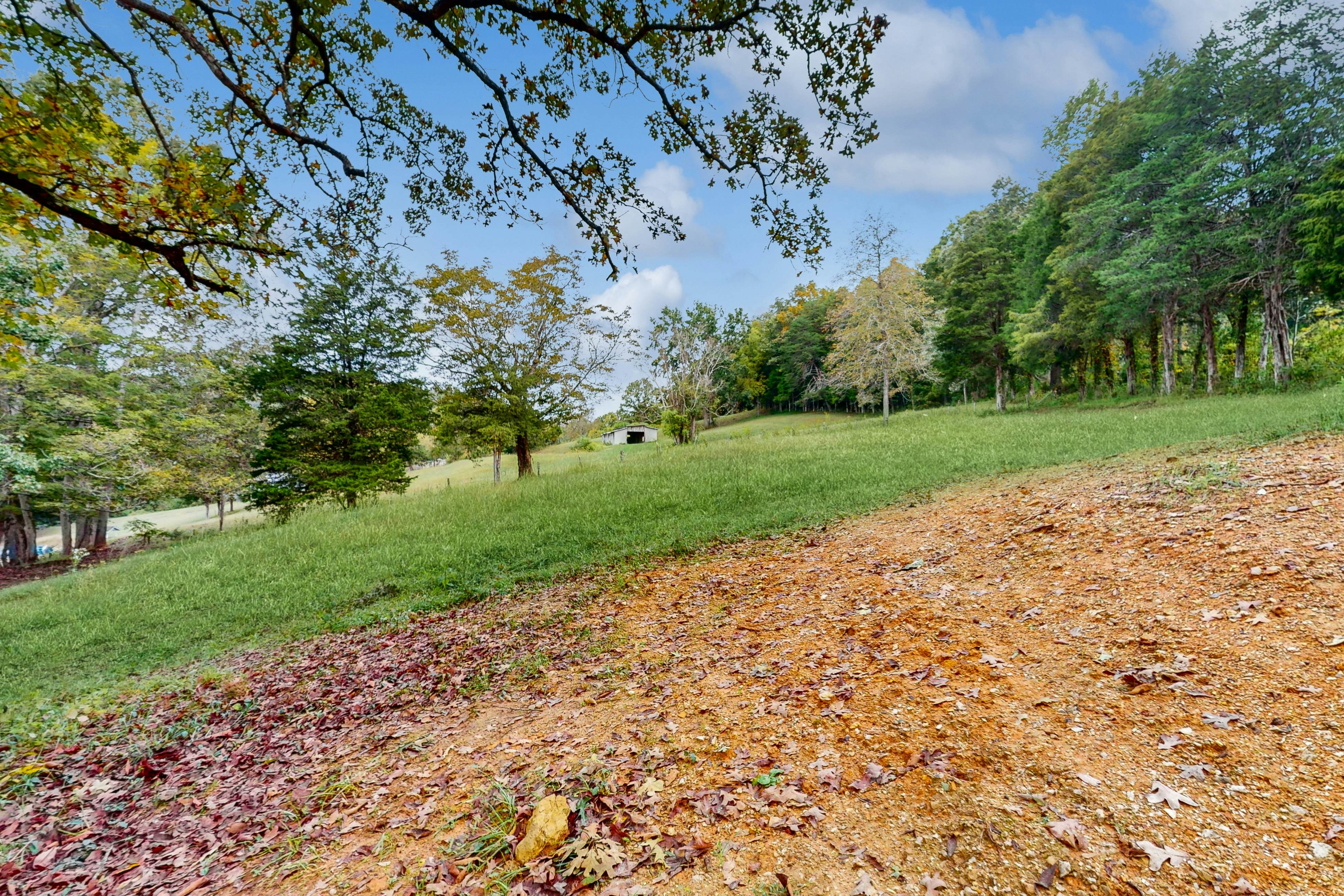 Tiny home studio with kitchenette, grill and front porch