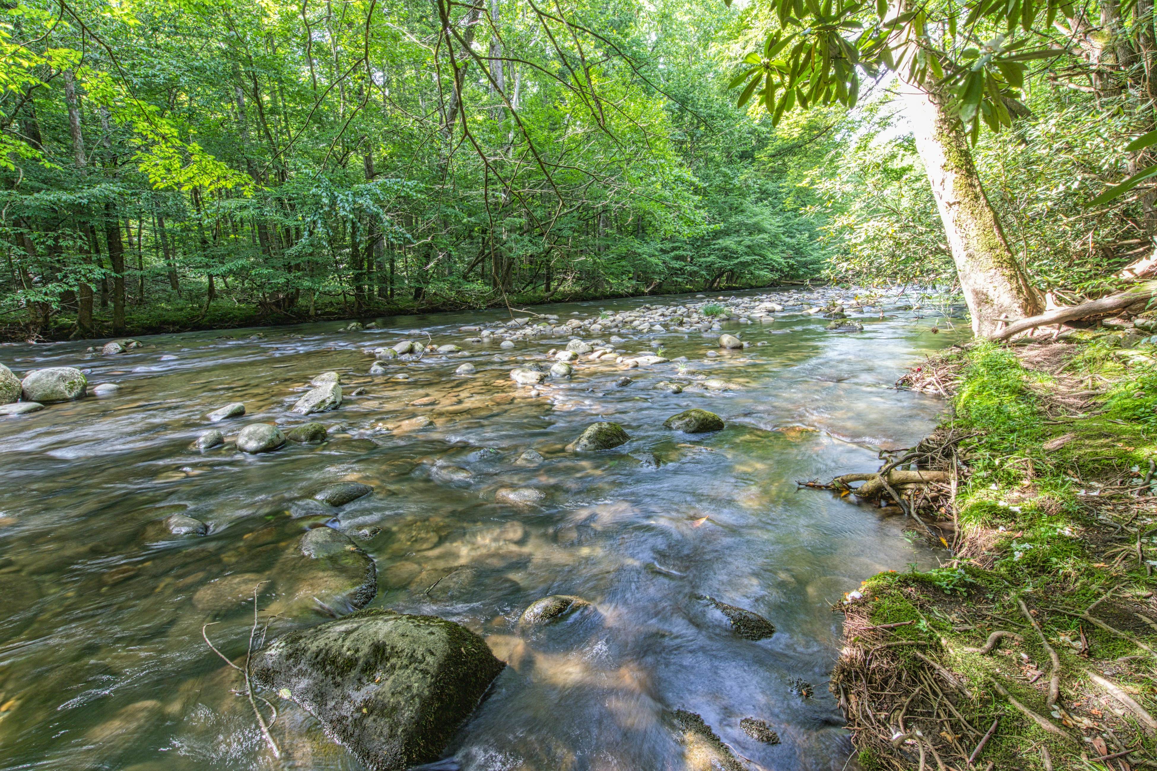 Cozy mountain condo with easy access to trails, pools, hot tubs & family fun