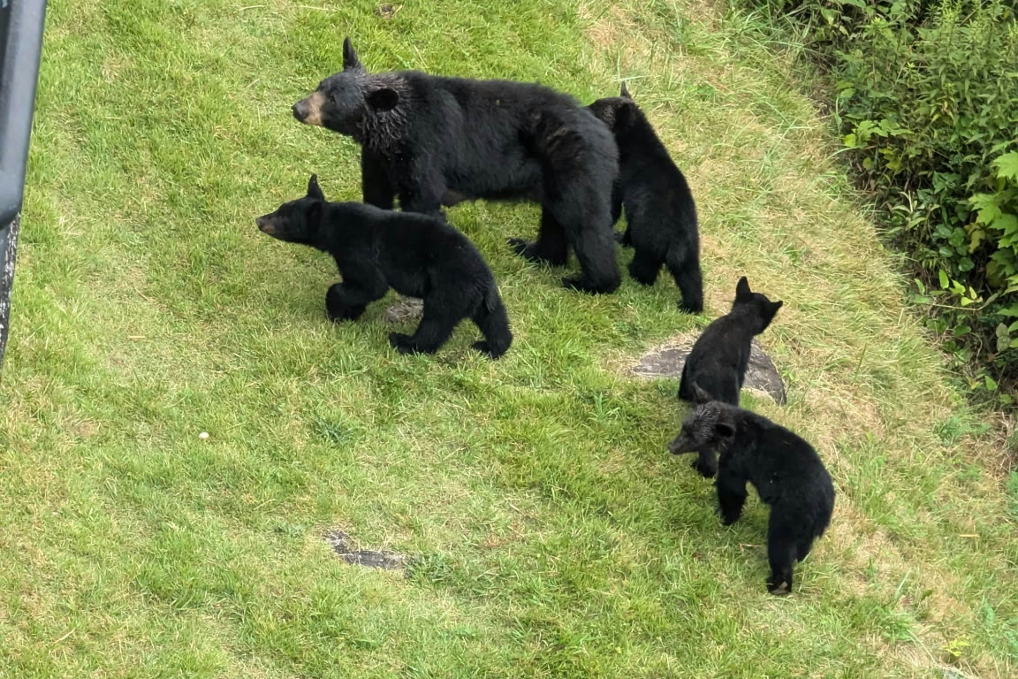 Mountain-view condo with private balcony, pool, & wood-burning fireplace