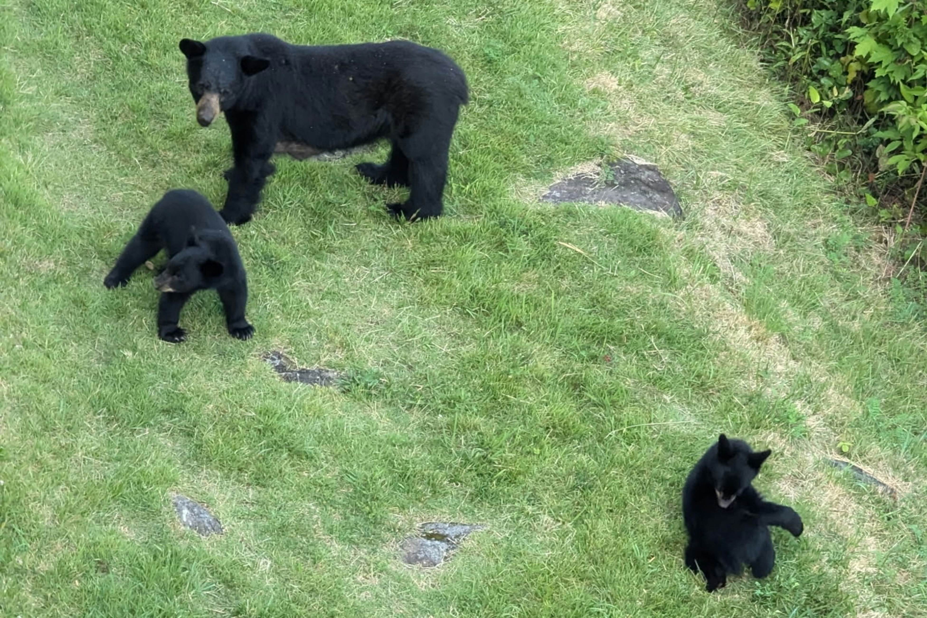Mountain-view condo with private balcony, pool, & wood-burning fireplace
