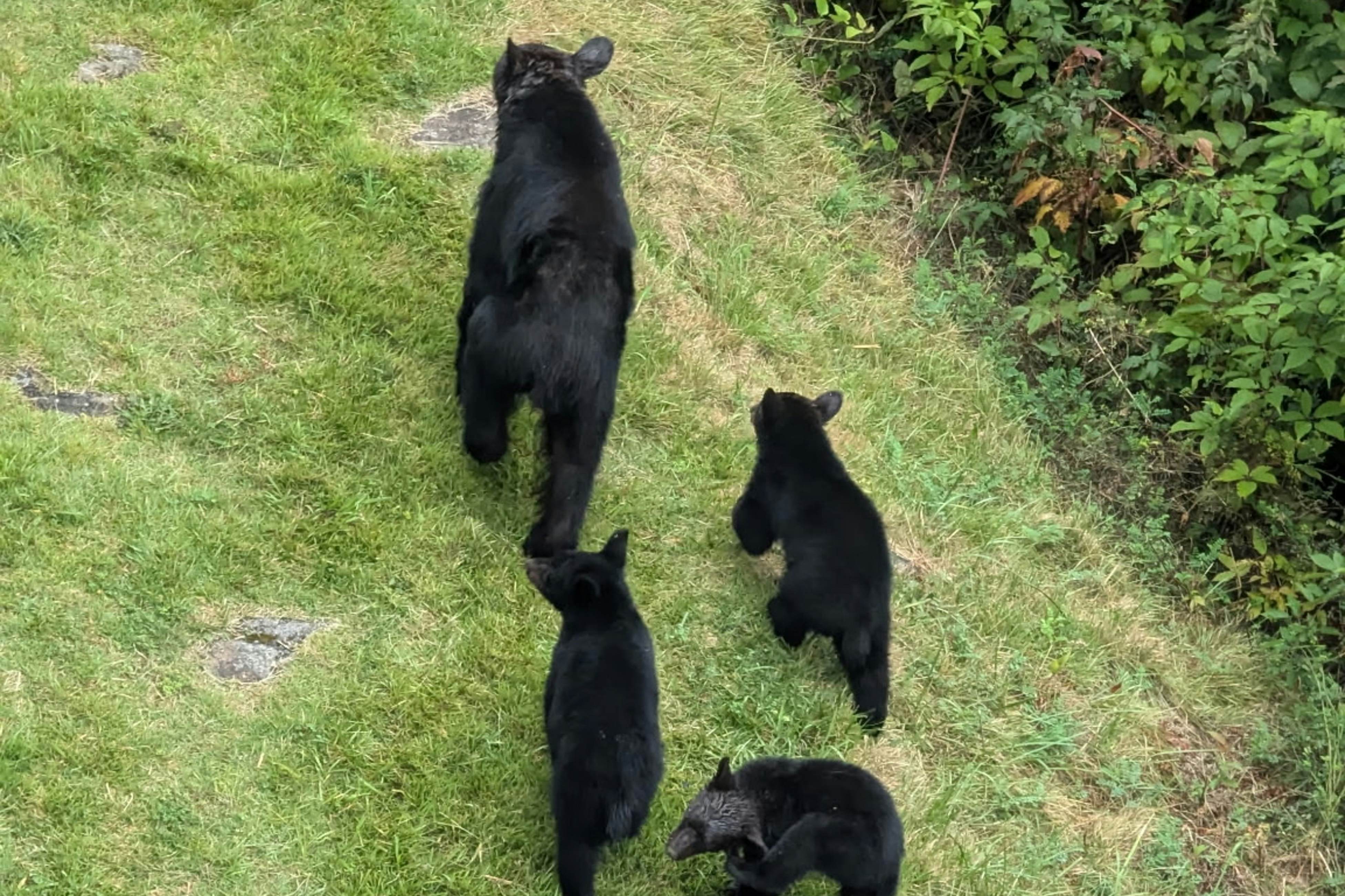 Mountain-view condo with private balcony, pool, & wood-burning fireplace