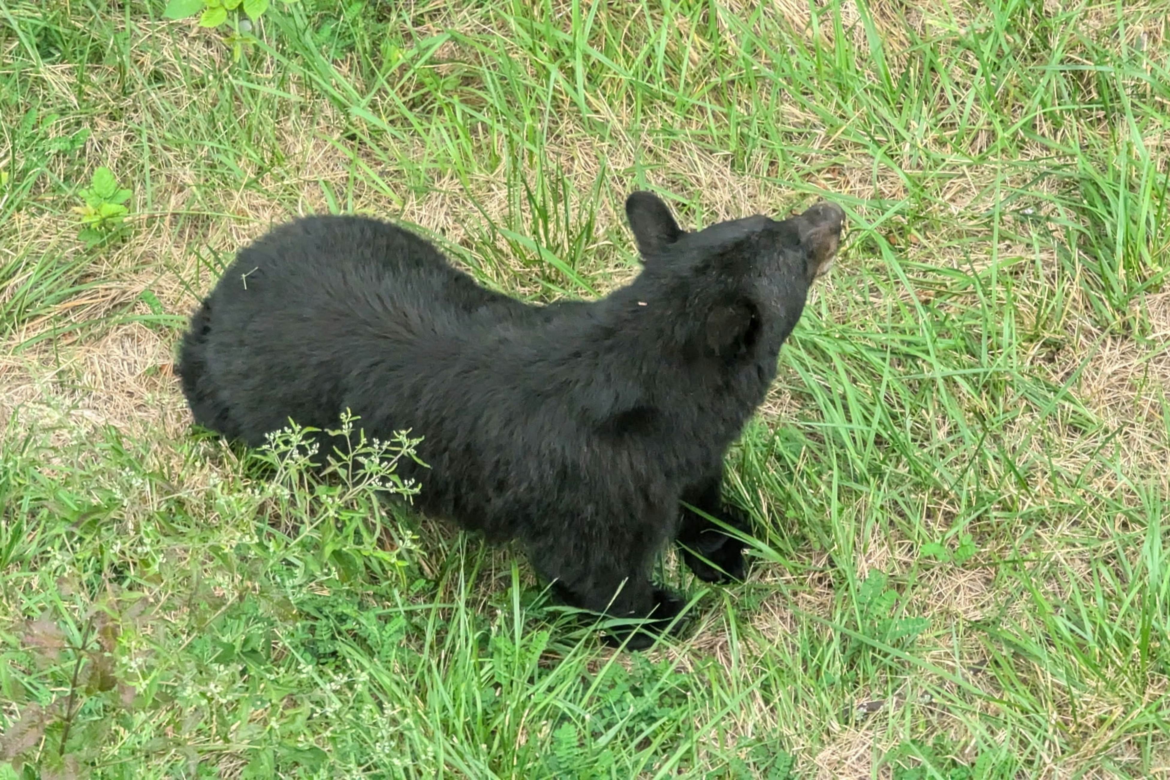 Mountain-view condo with private balcony, pool, & wood-burning fireplace