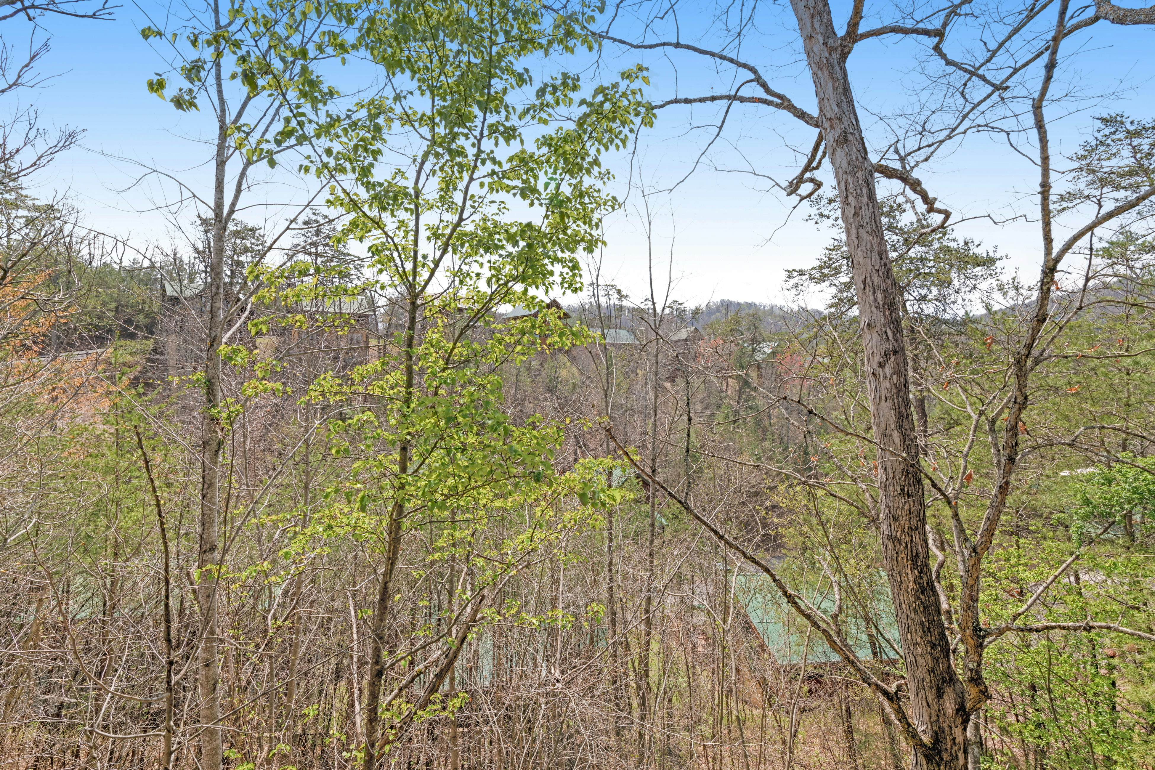 Quaint Cabin with Gas Fireplace & Shared Seasonal Pool - Free Attraction Tickets