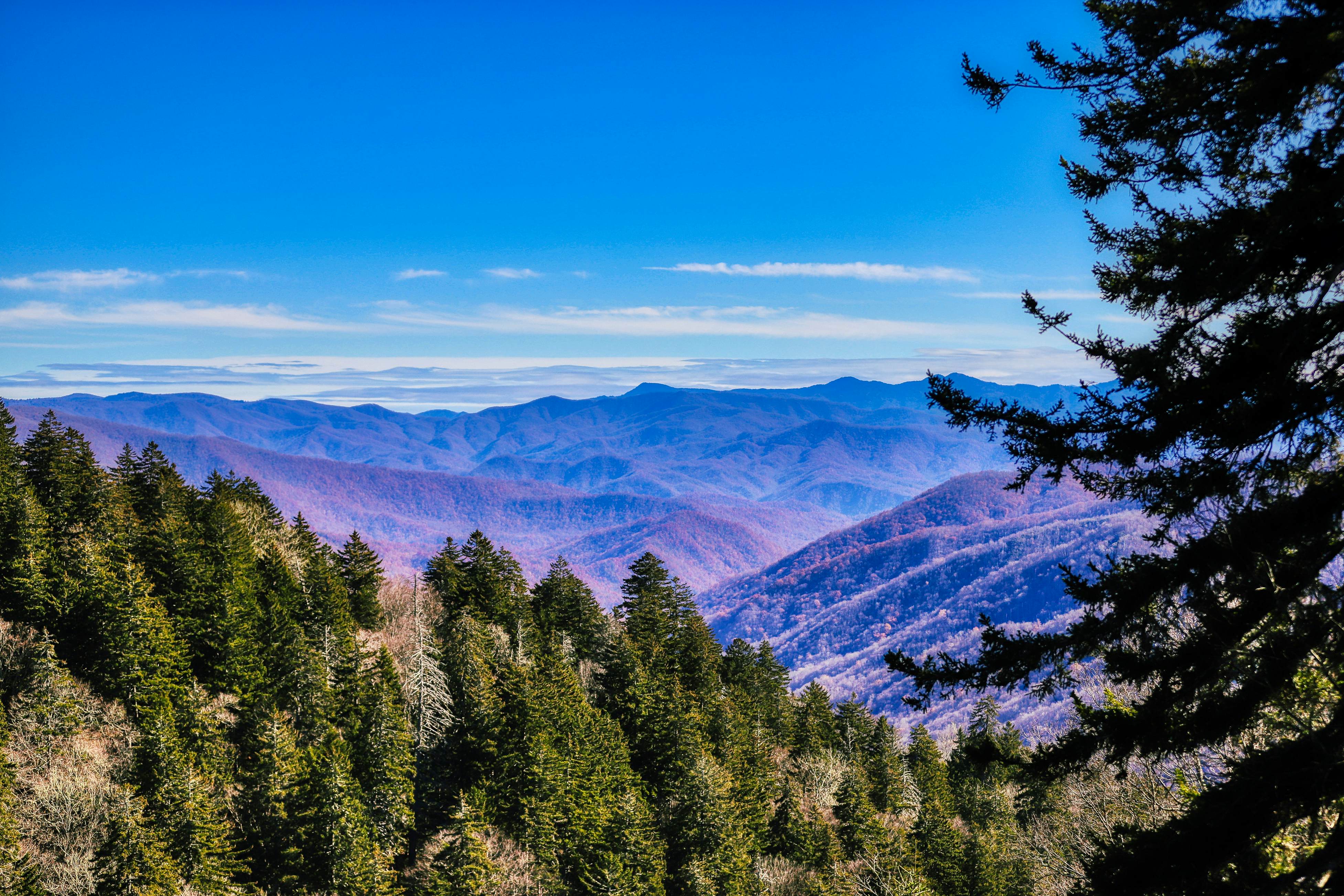 Amazing mountain views Cabin w/ hot tub, & 2 decks + Free Attraction Tickets