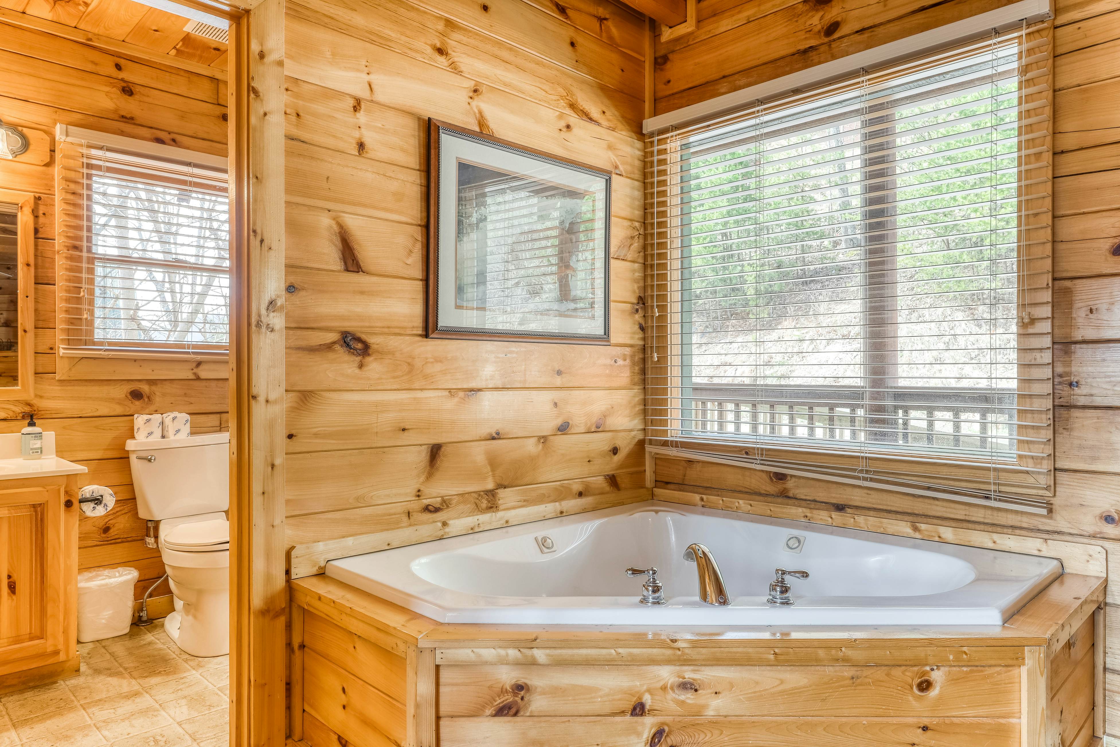 Dog-friendly cabin w/ Free Attraction Tickets, gorgeous views, a private hot tub