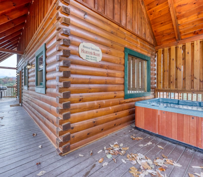 Luxe Cabin, Sleeps 4, Mtn views, Hot Tub, Shared Pool