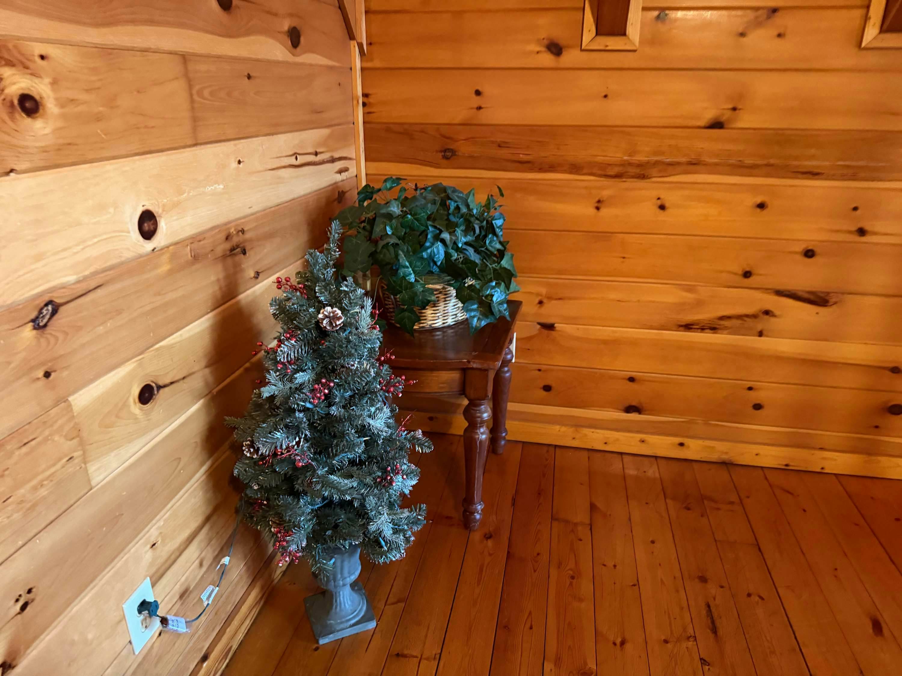 Luxury cabin w/ Free Attraction Tickets, mountain views, hot tub, & shared pool