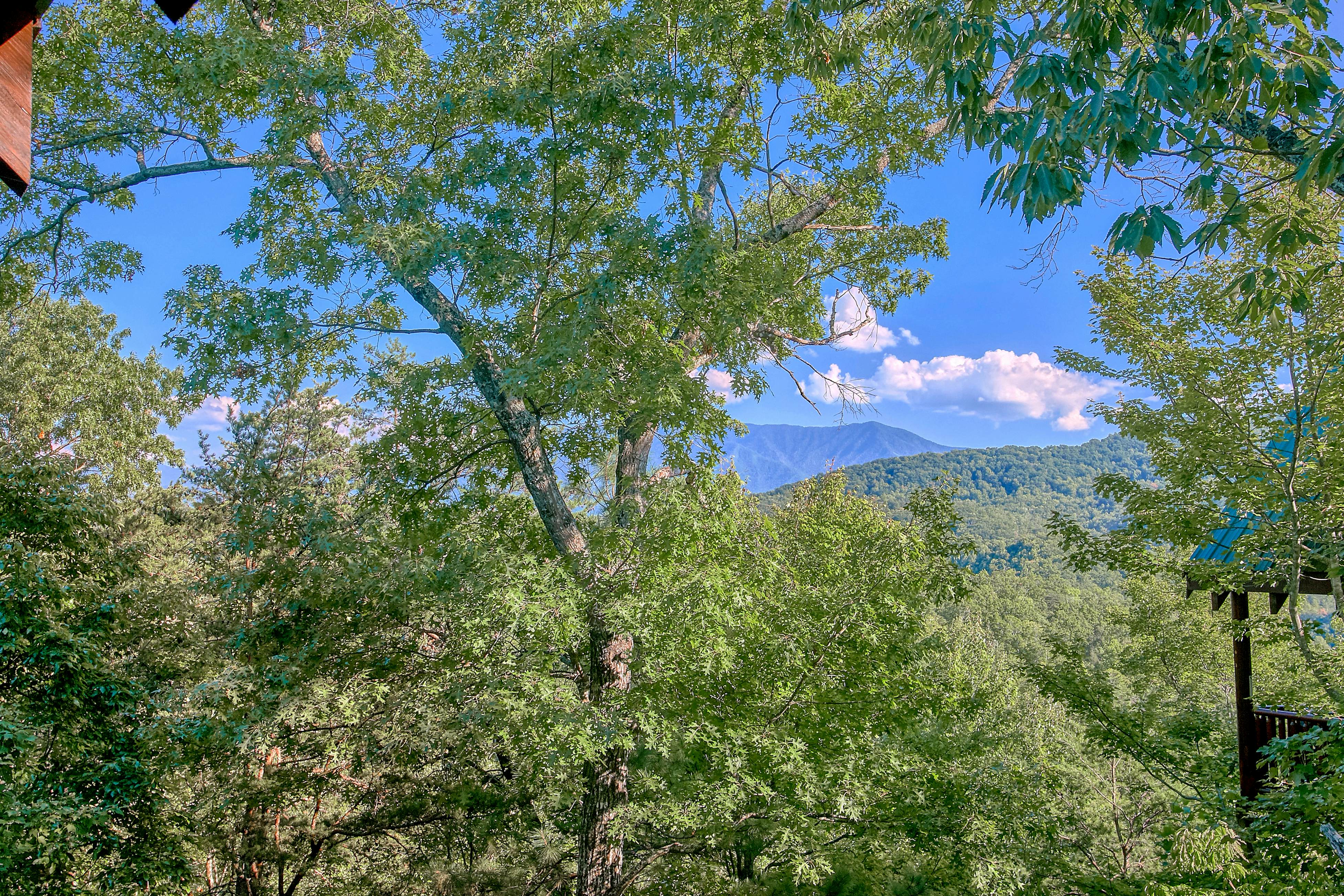 Charming log cabin in mountains w/ Free Attraction Tickets, hot tub & pool table